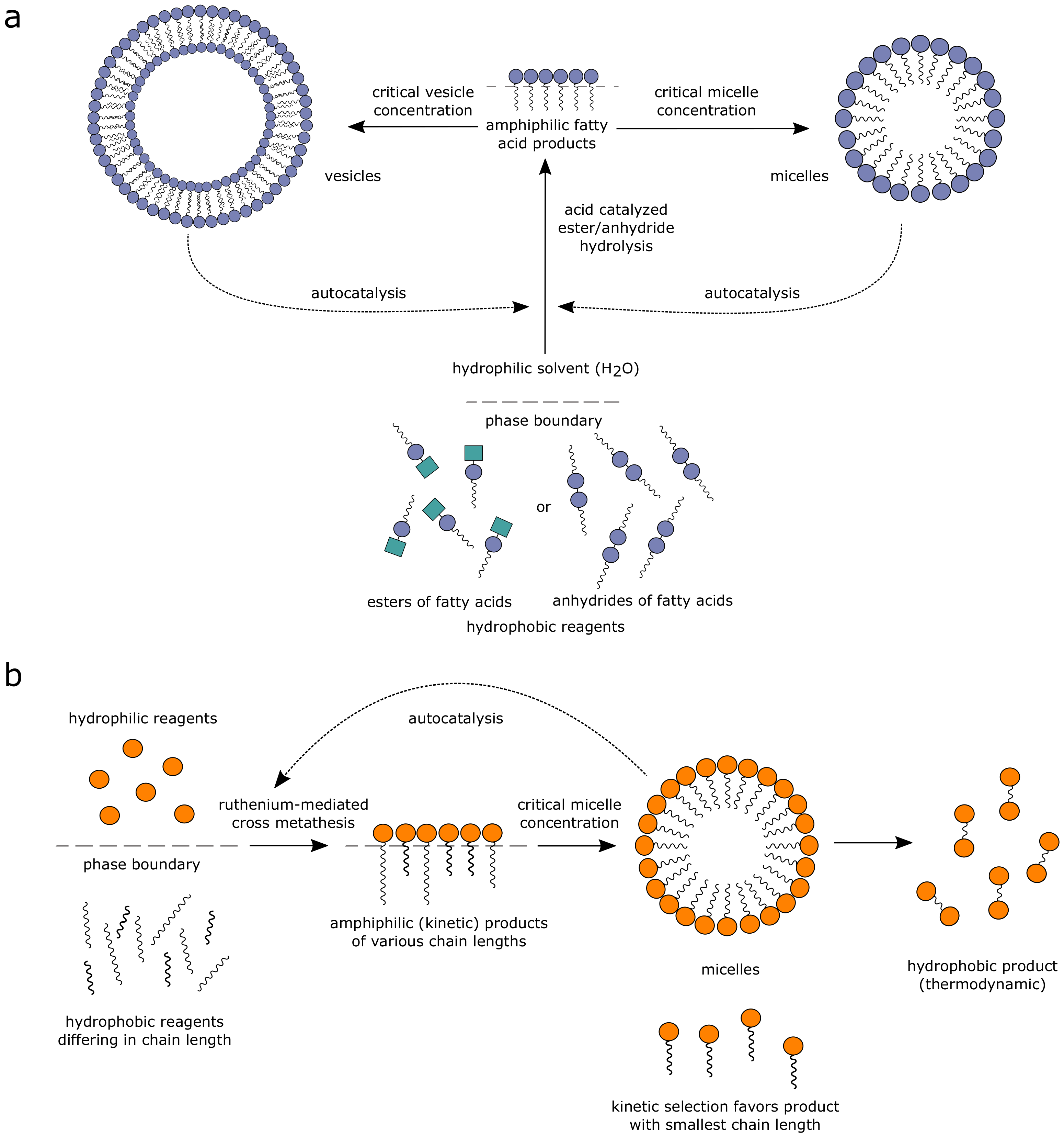 Life 11 00308 g003 Life 11 00308 g003