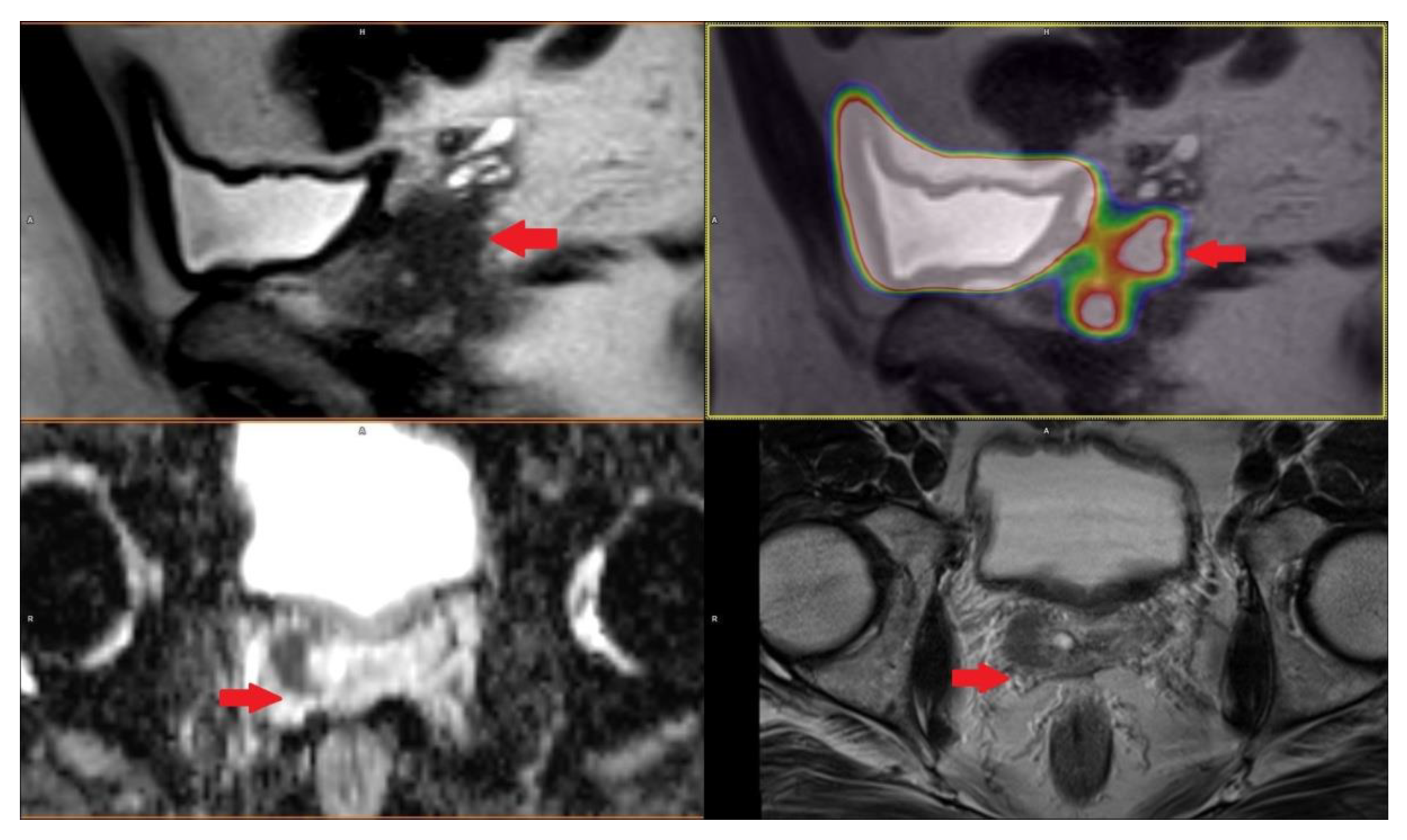 Life 11 00324 g002 Life 11 00324 g002