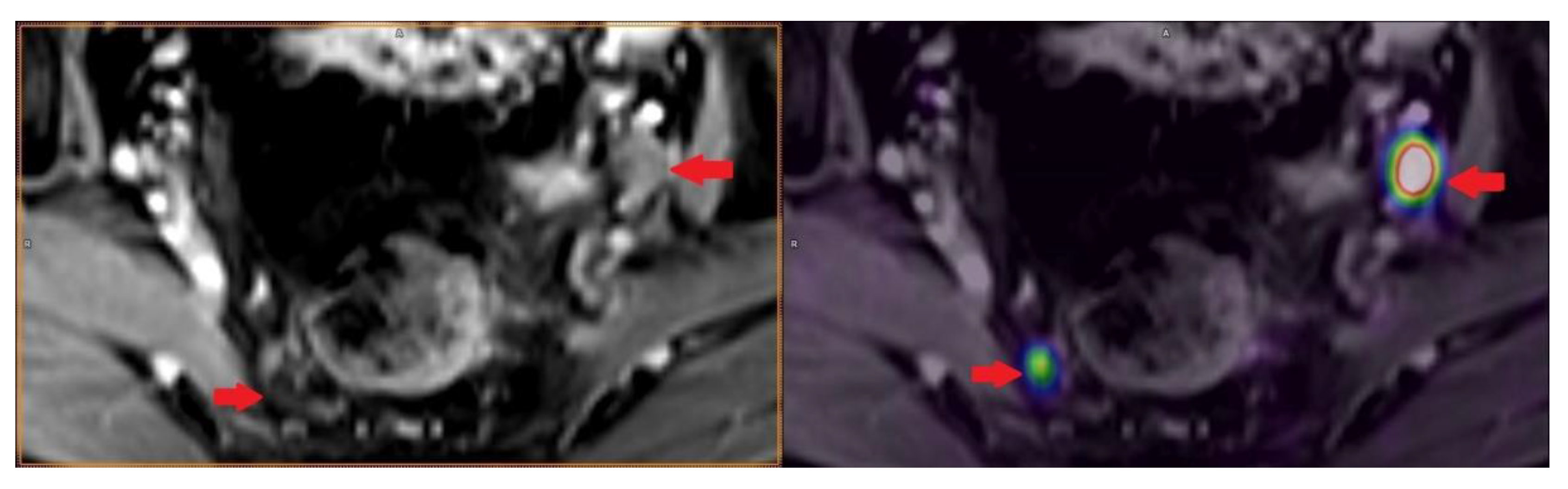 Life 11 00324 g003 Life 11 00324 g003