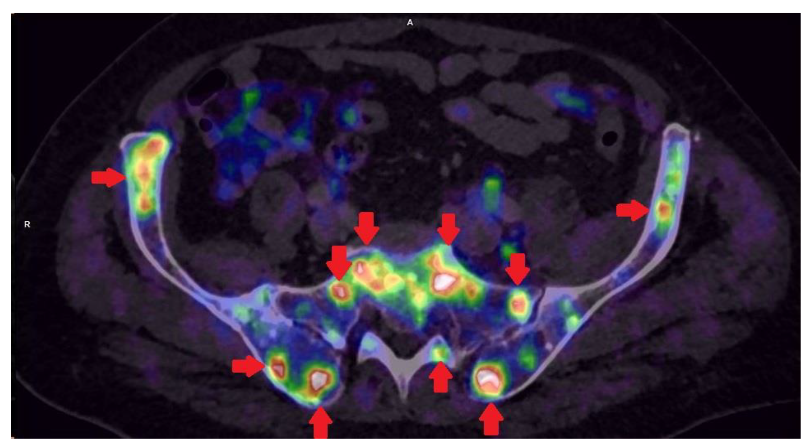 Life 11 00324 g004 Life 11 00324 g004