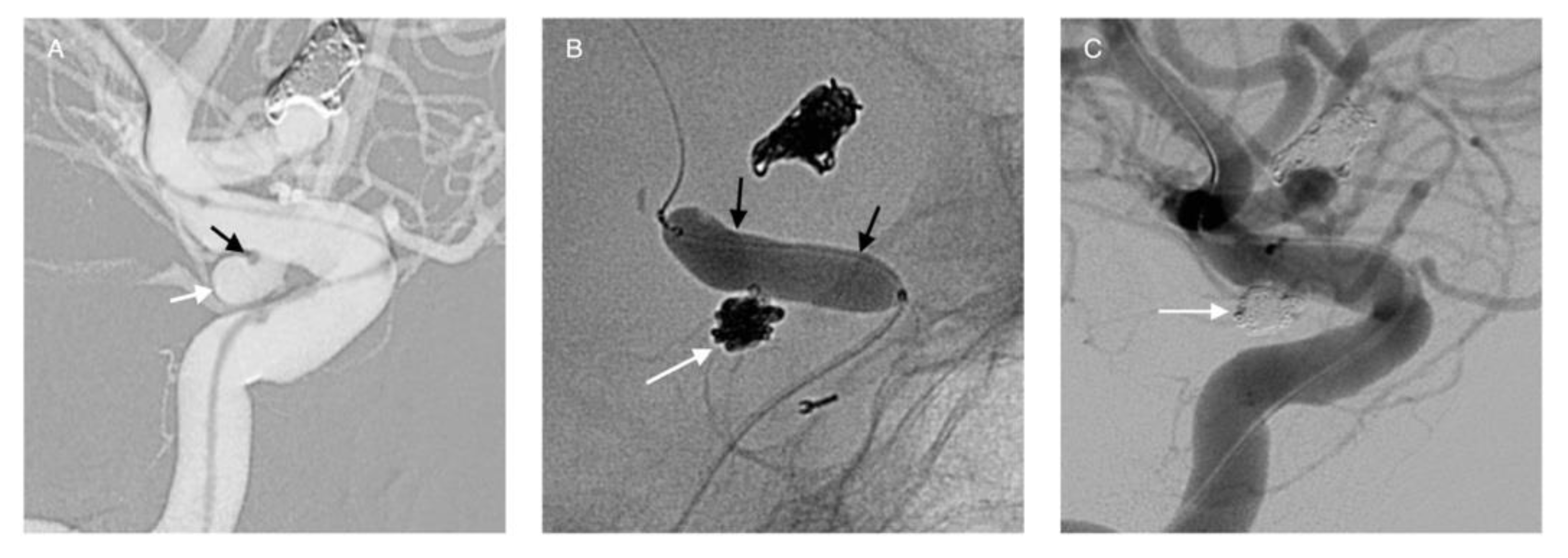 Life 11 00335 g002 Life 11 00335 g002