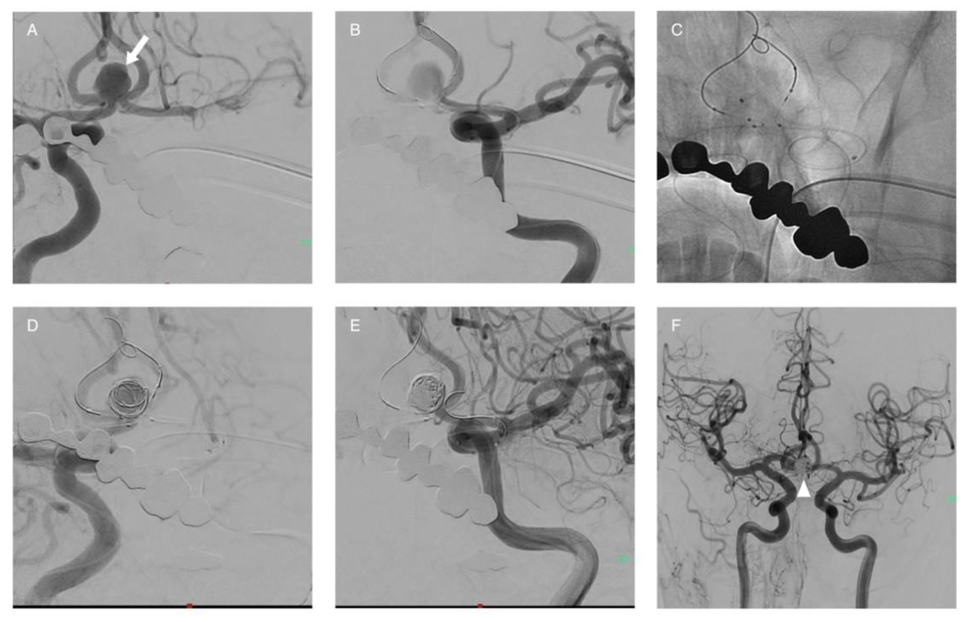 Life 11 00335 g003 Life 11 00335 g003