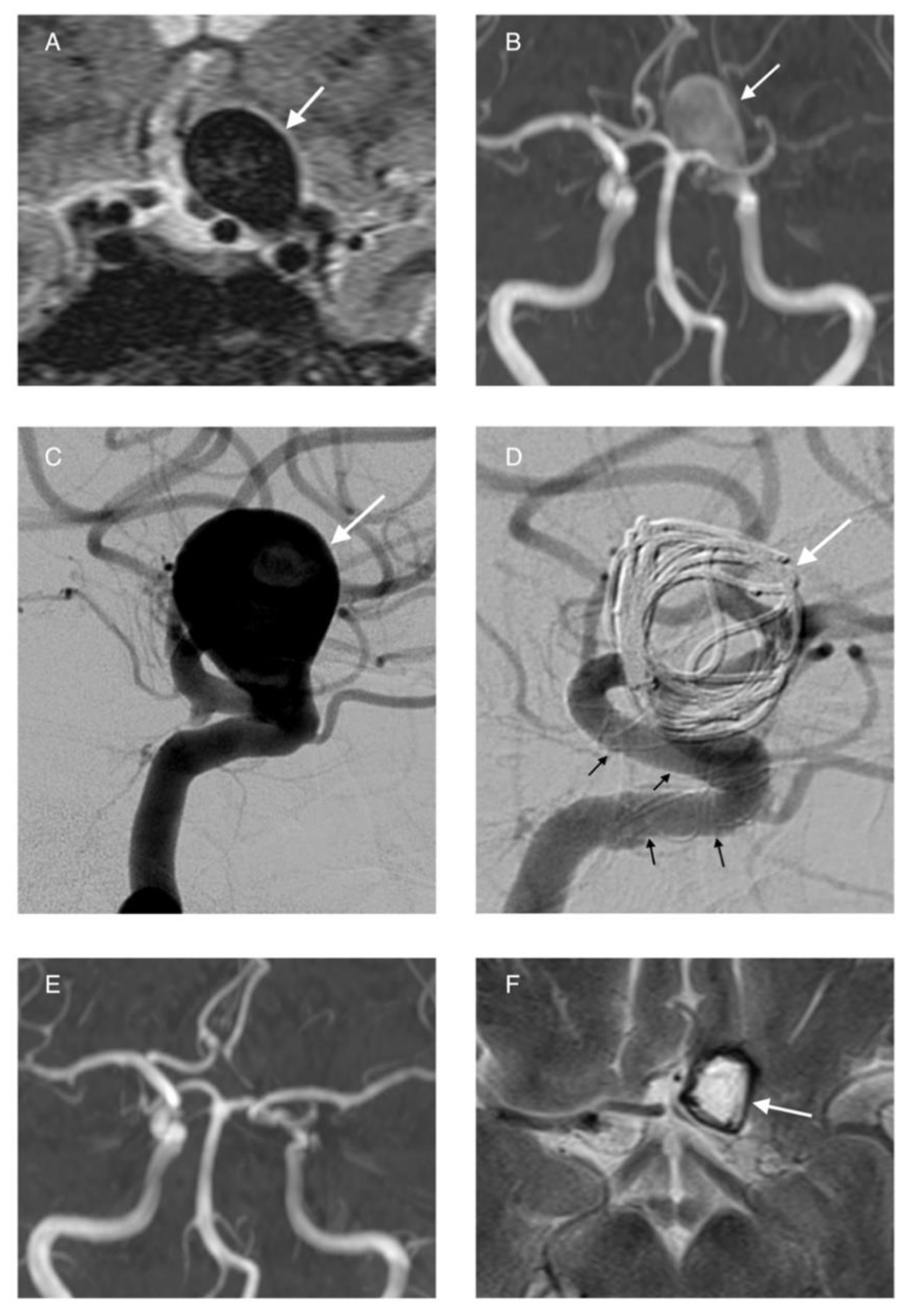 Life 11 00335 g006 Life 11 00335 g006