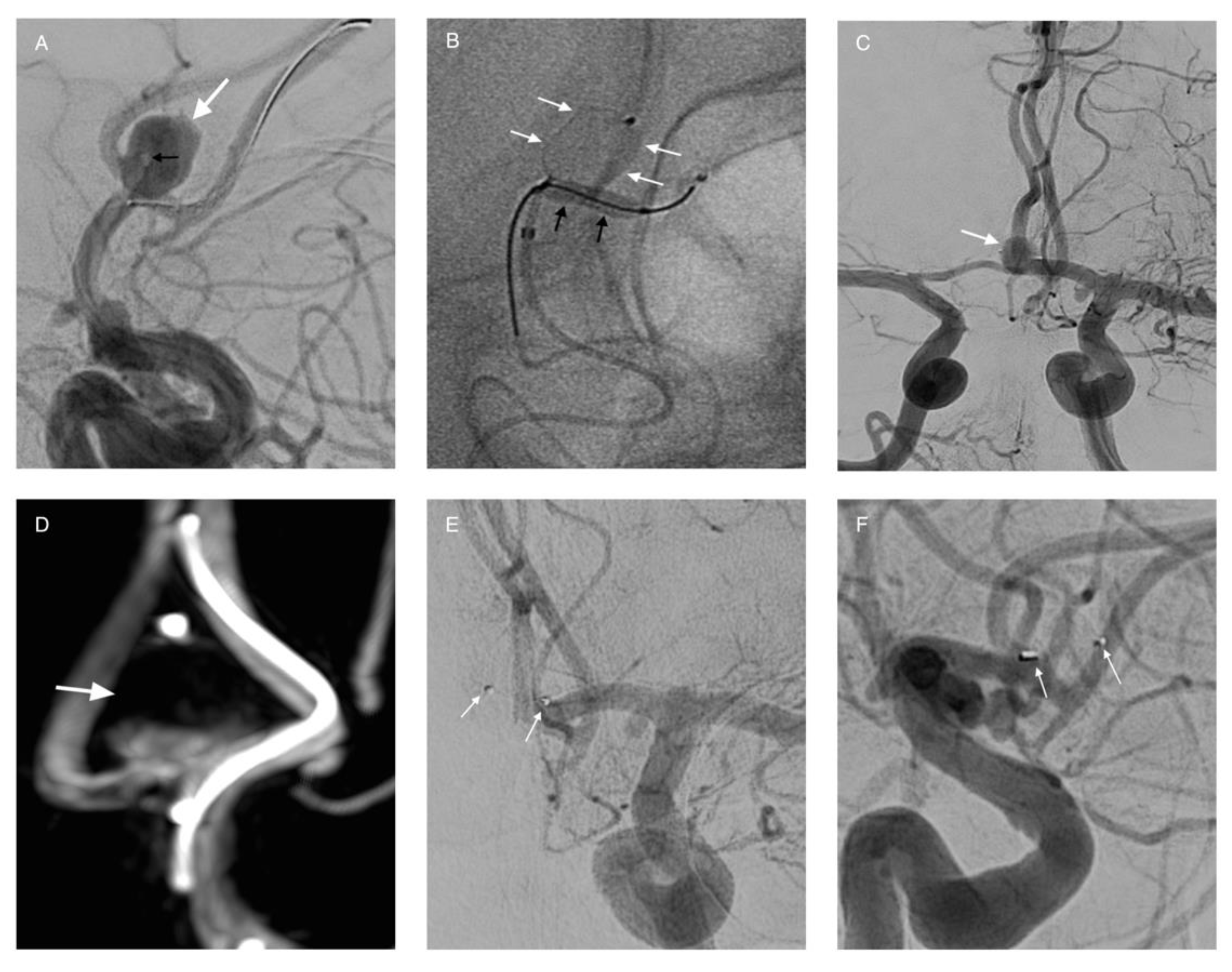 Life 11 00335 g007 Life 11 00335 g007