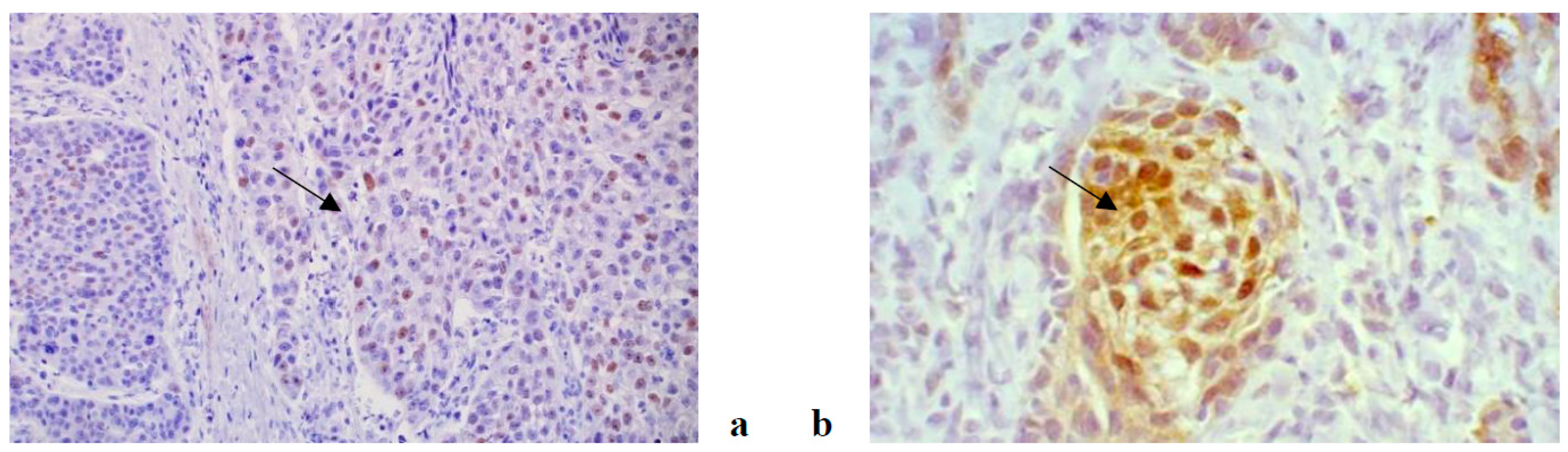 Life 11 00336 g001 Life 11 00336 g001