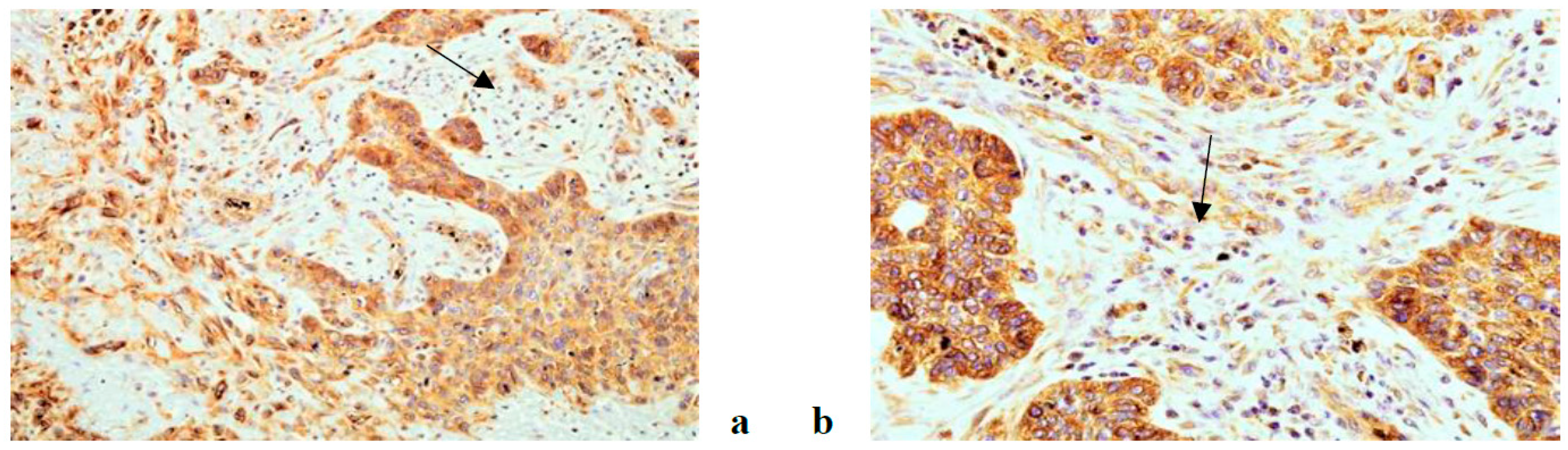 Life 11 00336 g002 Life 11 00336 g002