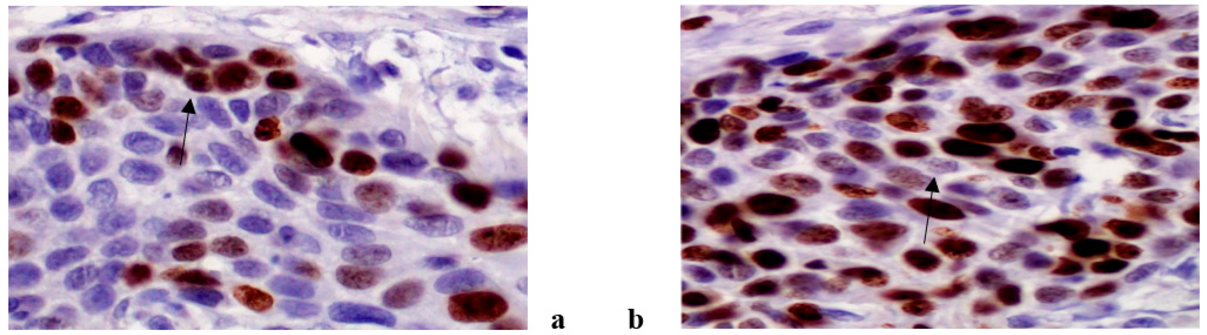 Life 11 00336 g004 Life 11 00336 g004