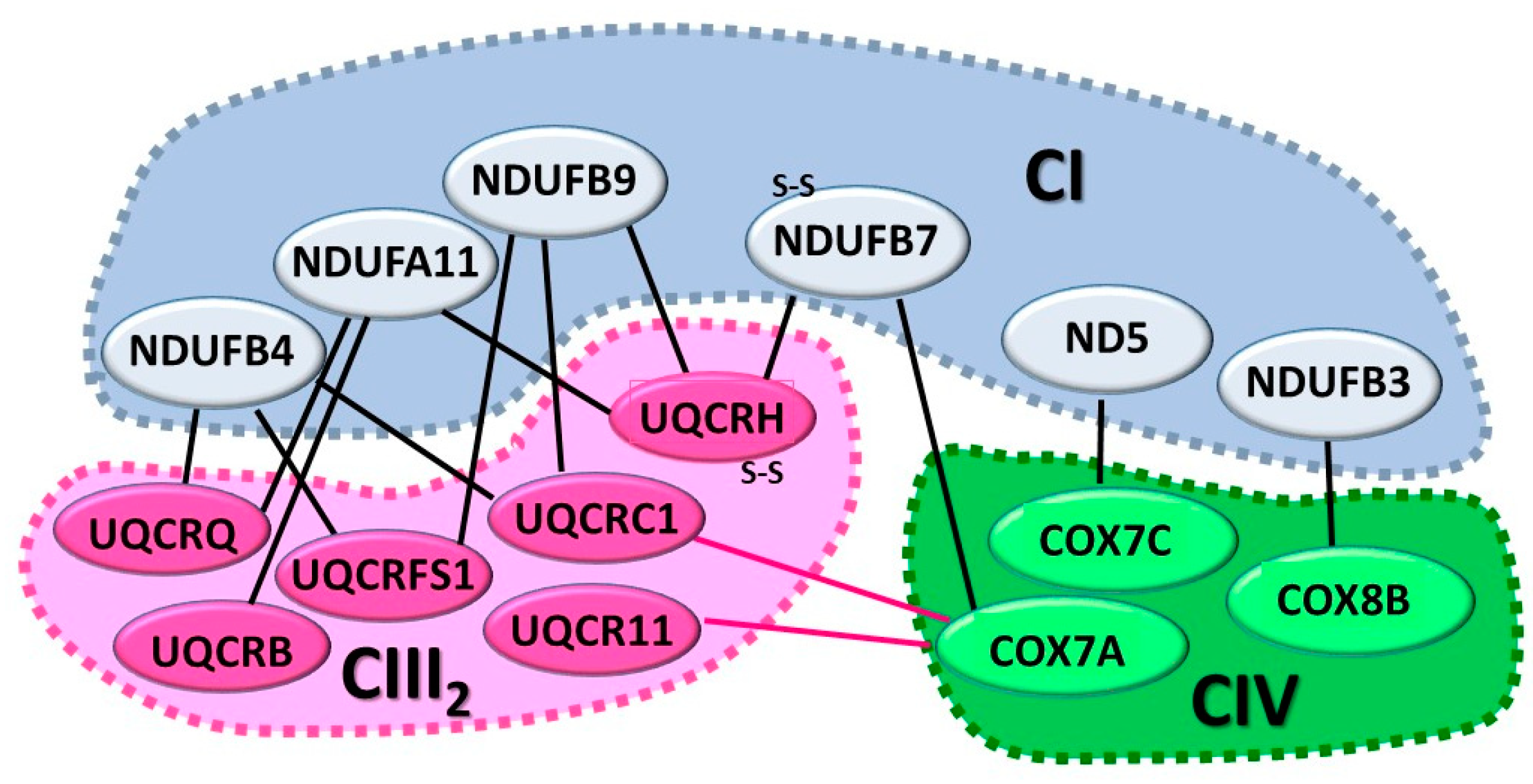 Life 11 00351 g002 Life 11 00351 g002