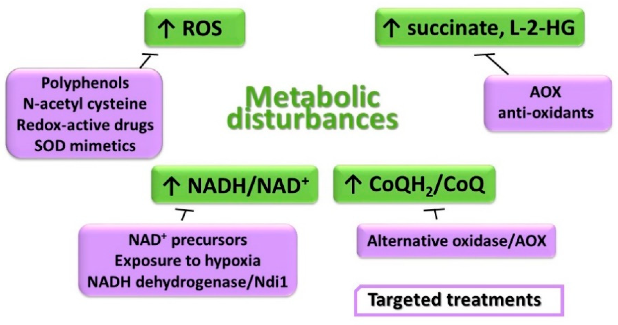 Life 11 00351 g003 Life 11 00351 g003
