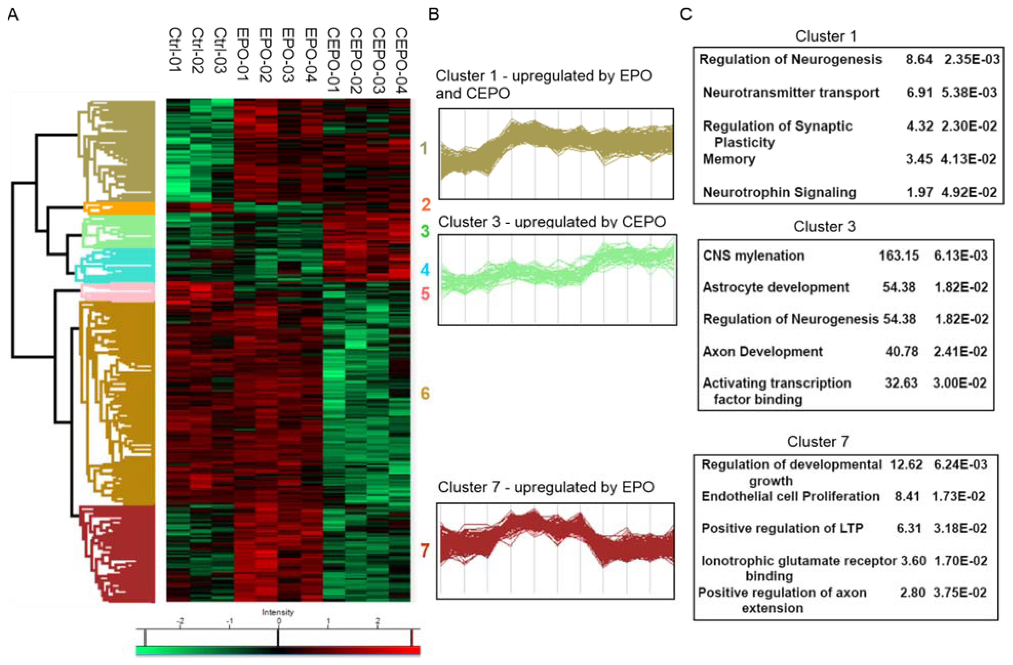 Life 11 00359 g002 Life 11 00359 g002