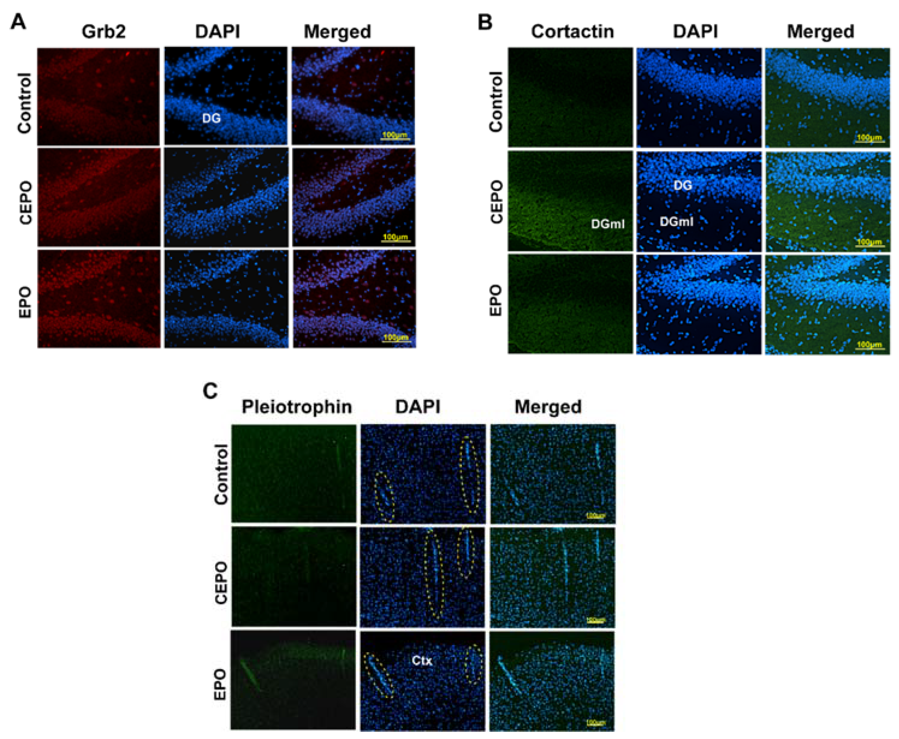 Life 11 00359 g006 Life 11 00359 g006