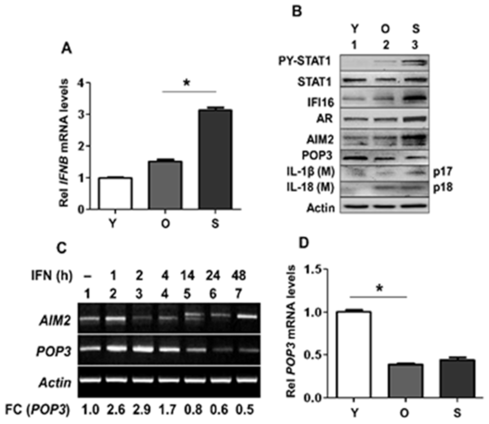 Life 11 00366 g001 Life 11 00366 g001