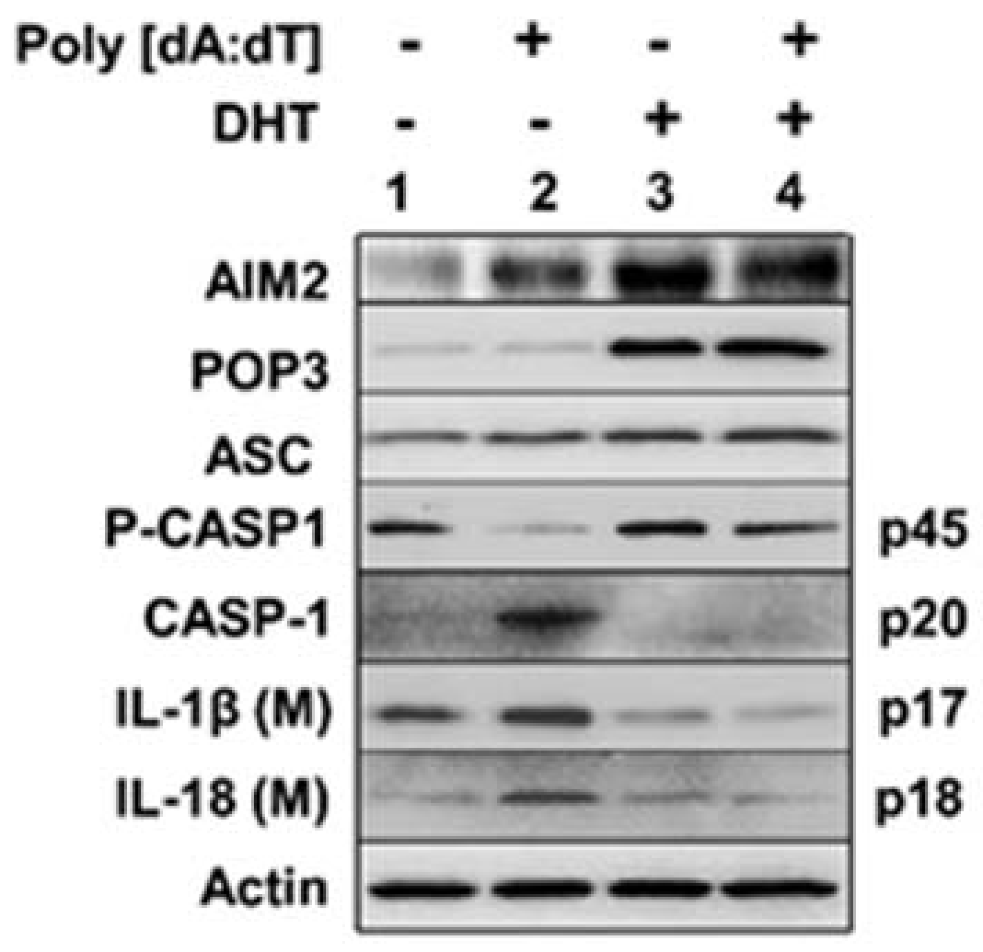 Life 11 00366 g003 Life 11 00366 g003