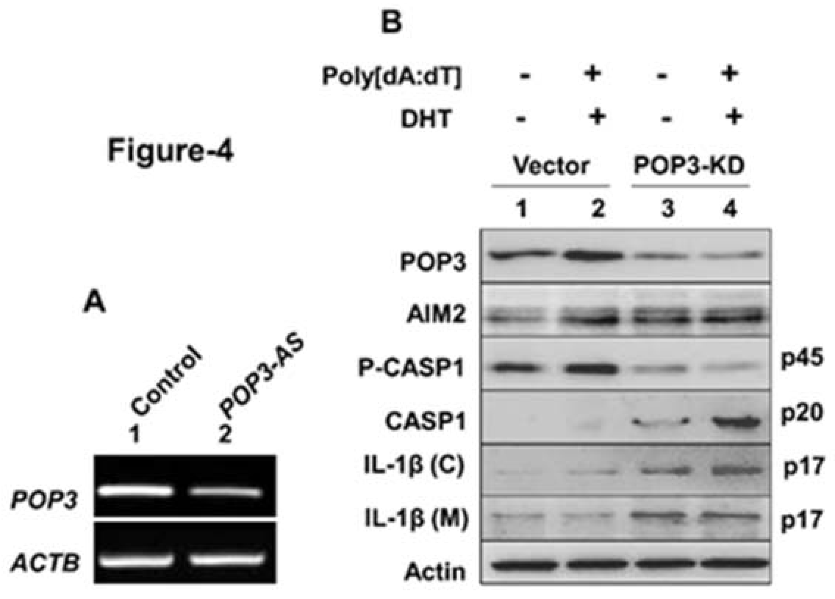 Life 11 00366 g004 Life 11 00366 g004