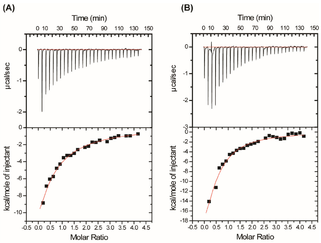 Life 11 00379 g003 Life 11 00379 g003