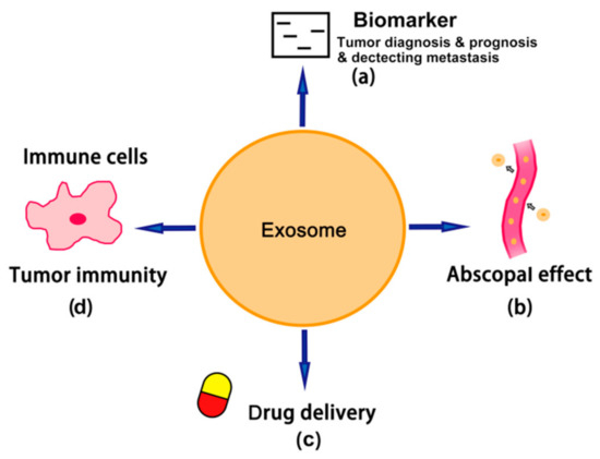 The Role of Tumor-Derived Exosomes in the Abscopal Effect and Immunotherapy