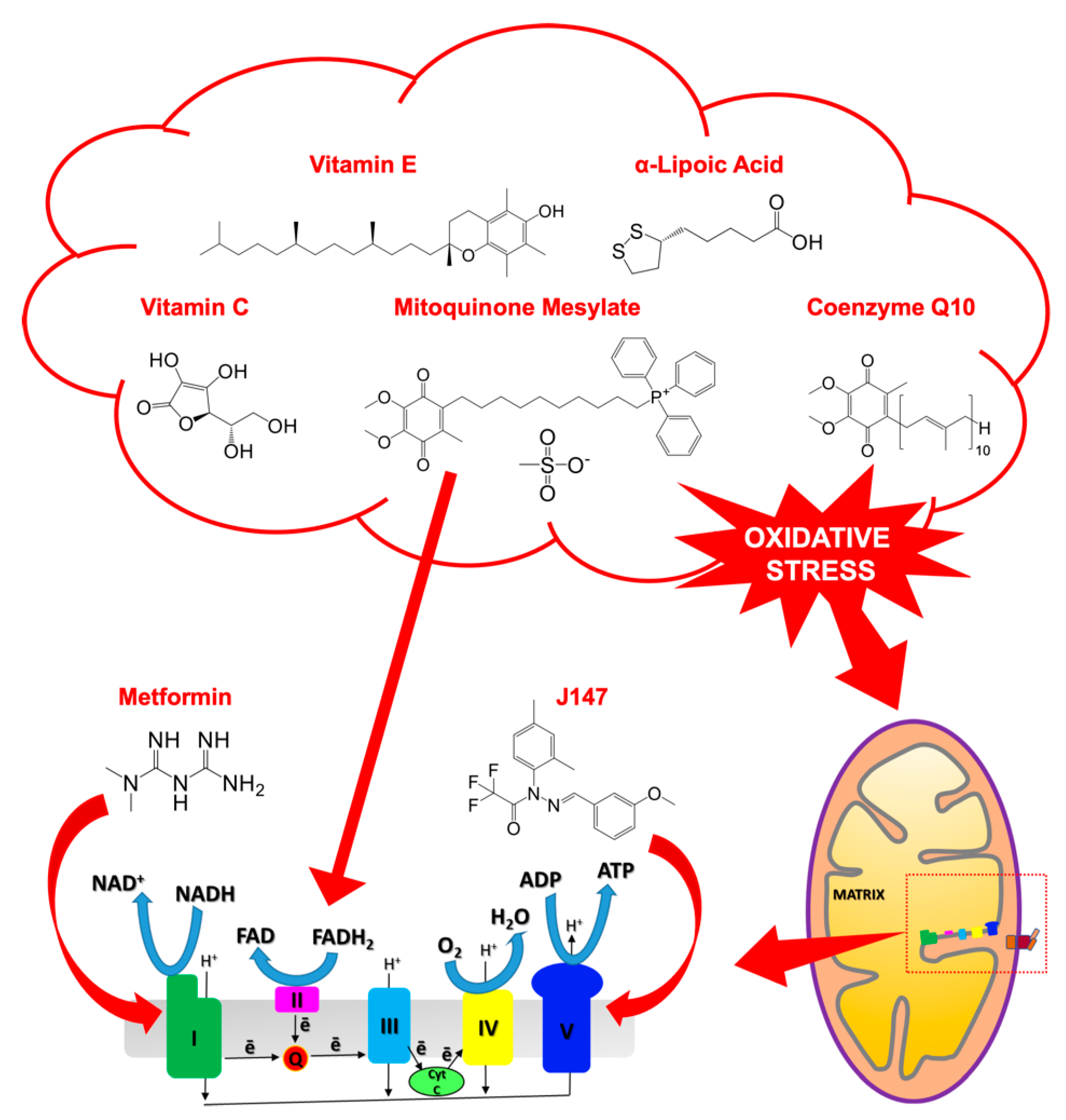 Life 11 00386 g007 Life 11 00386 g007