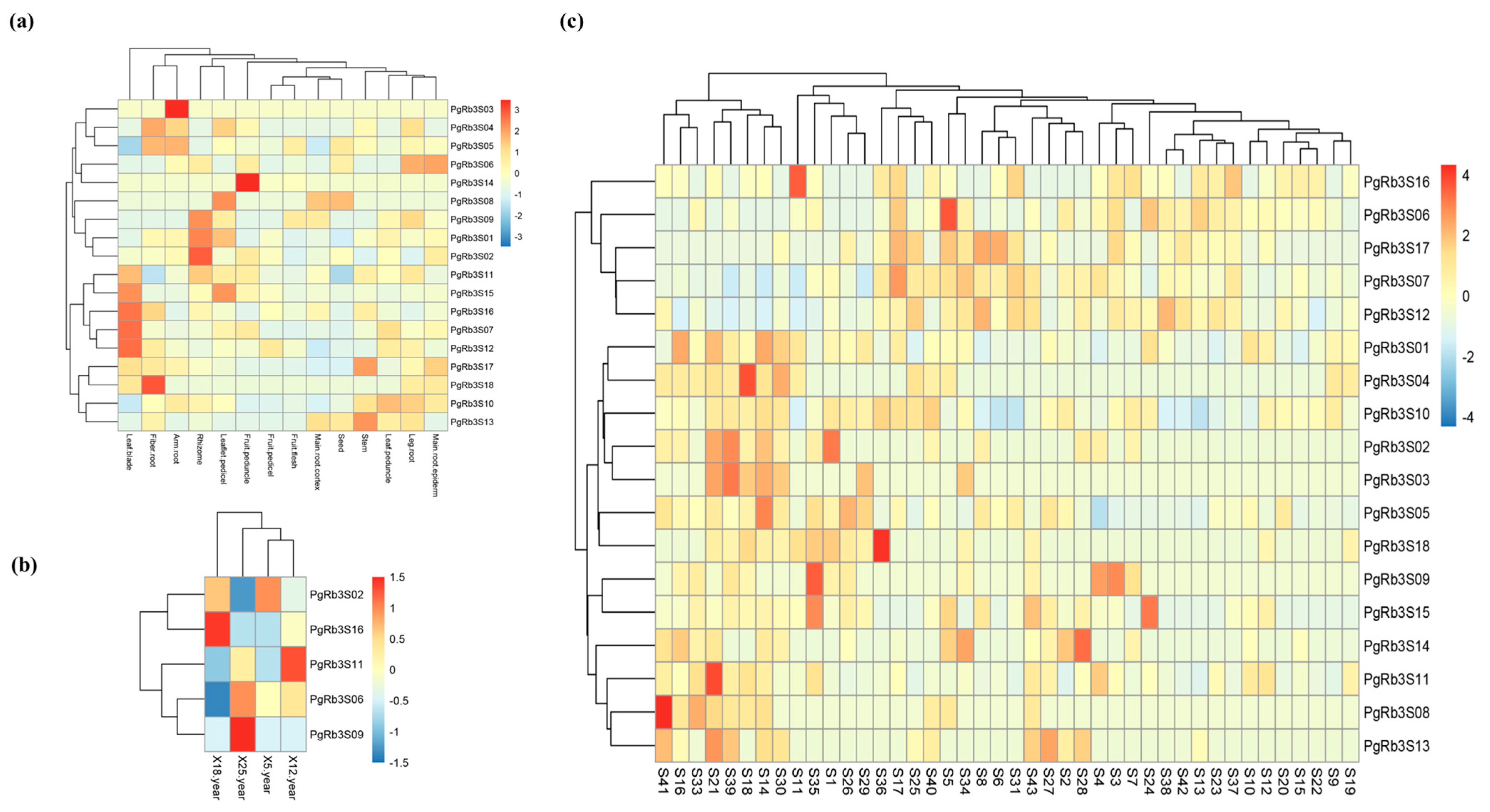 Life 11 00387 g004 Life 11 00387 g004