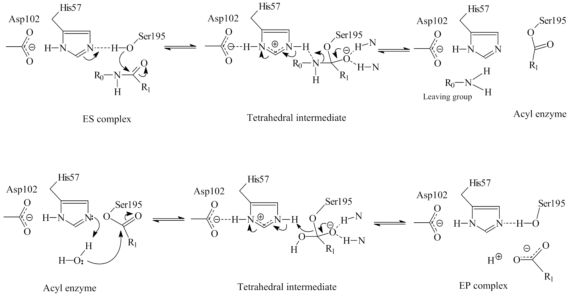 Life 11 00396 sch001