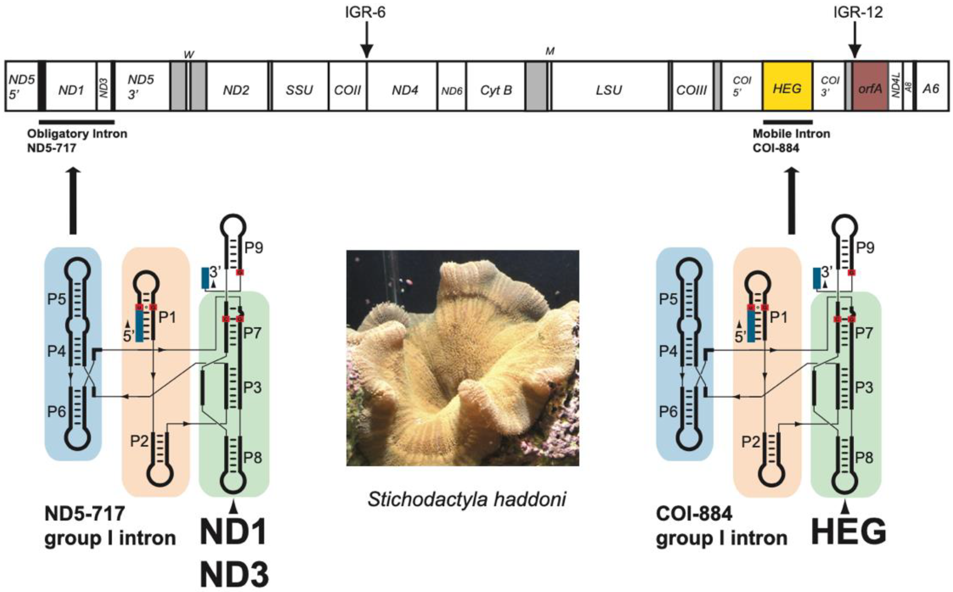 Life 11 00402 g001 Life 11 00402 g001