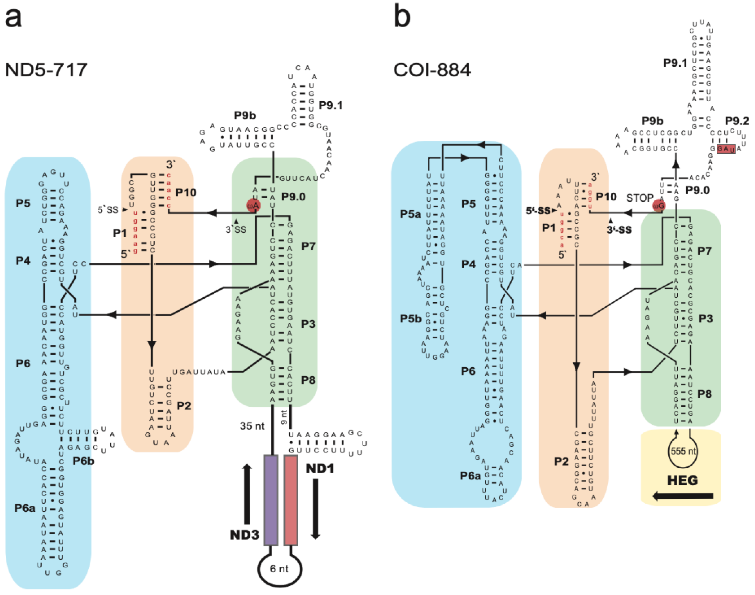 Life 11 00402 g002 Life 11 00402 g002