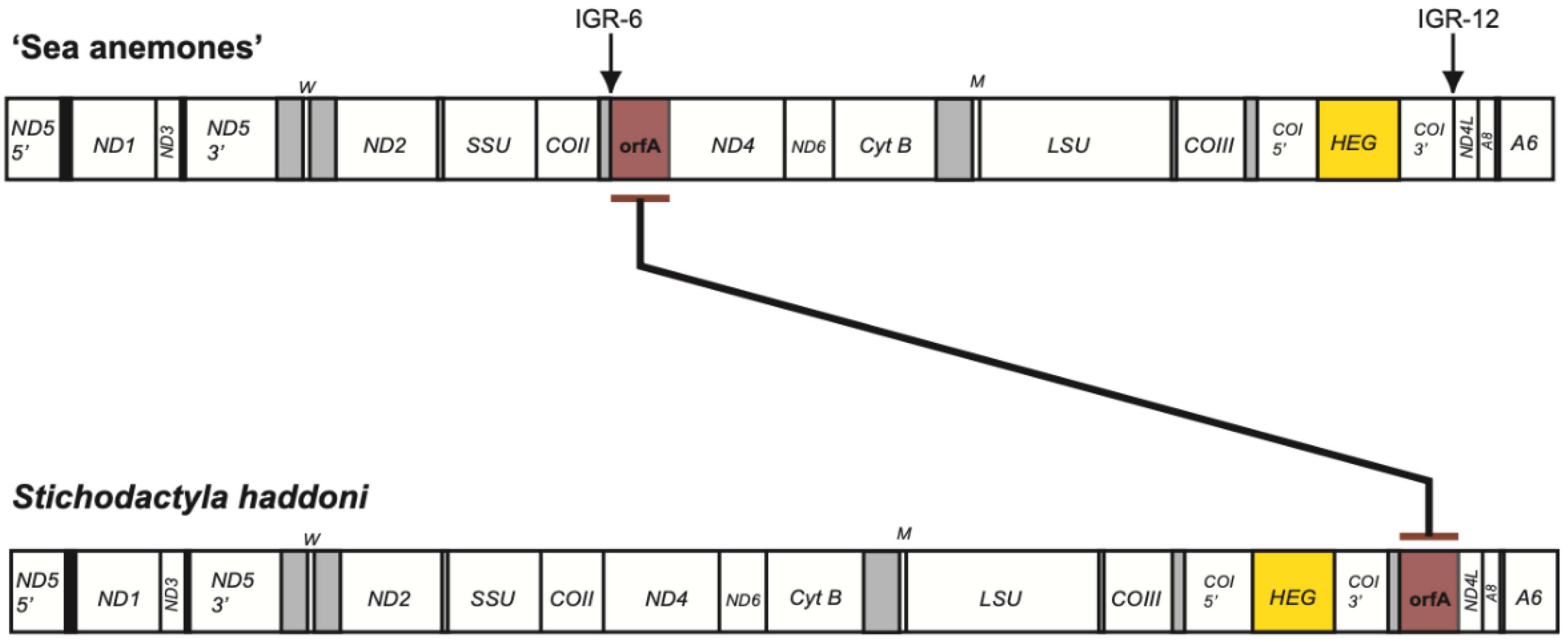 Life 11 00402 g005 Life 11 00402 g005