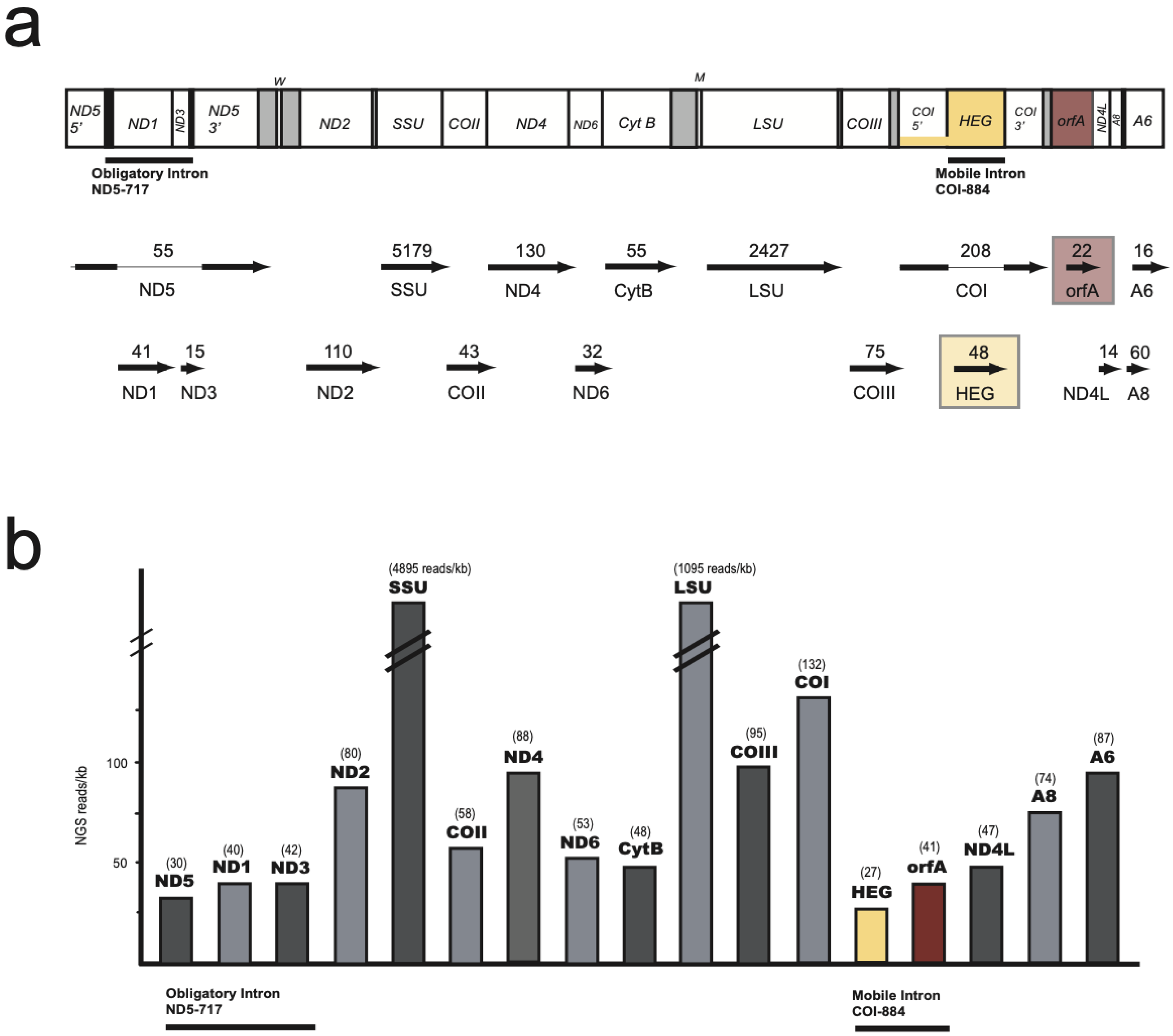 Life 11 00402 g006 Life 11 00402 g006