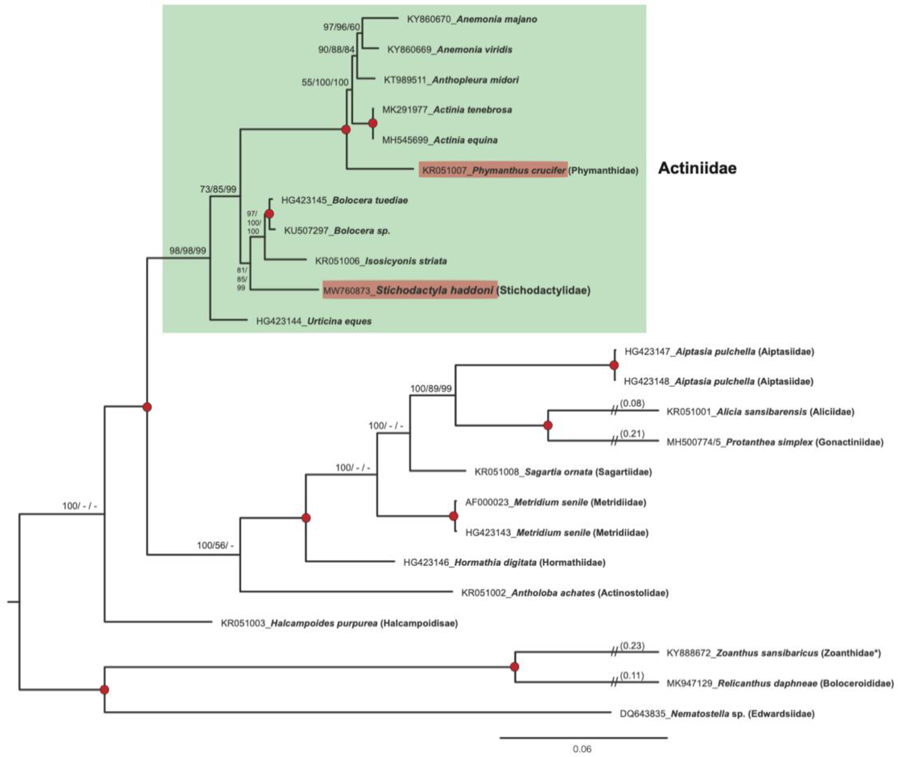 Life 11 00402 g007 Life 11 00402 g007