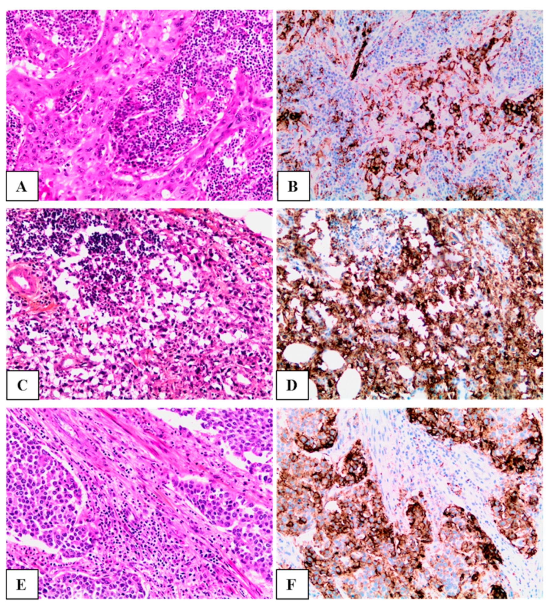 Life 11 00404 g001 Life 11 00404 g001