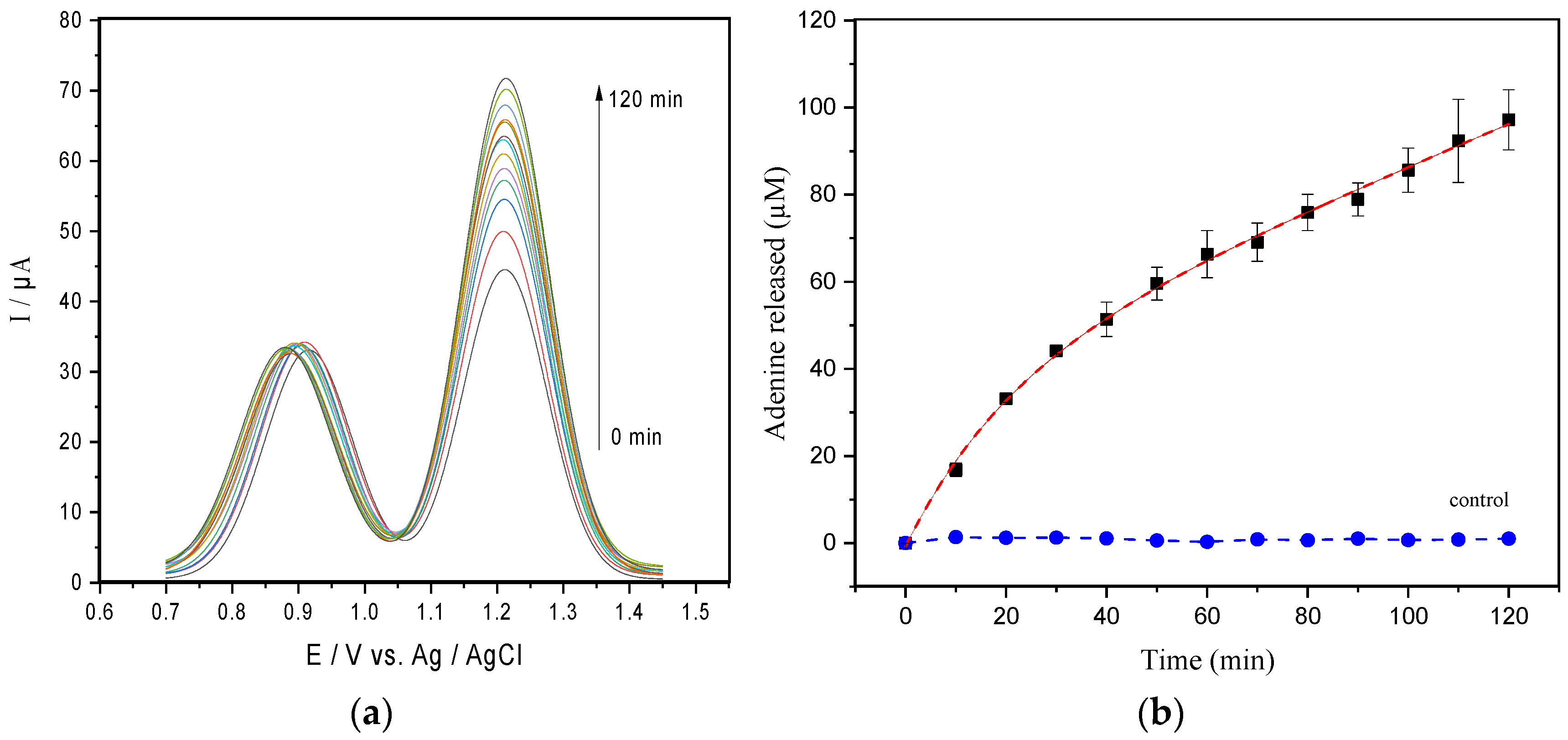 Life 11 00405 g001 Life 11 00405 g001
