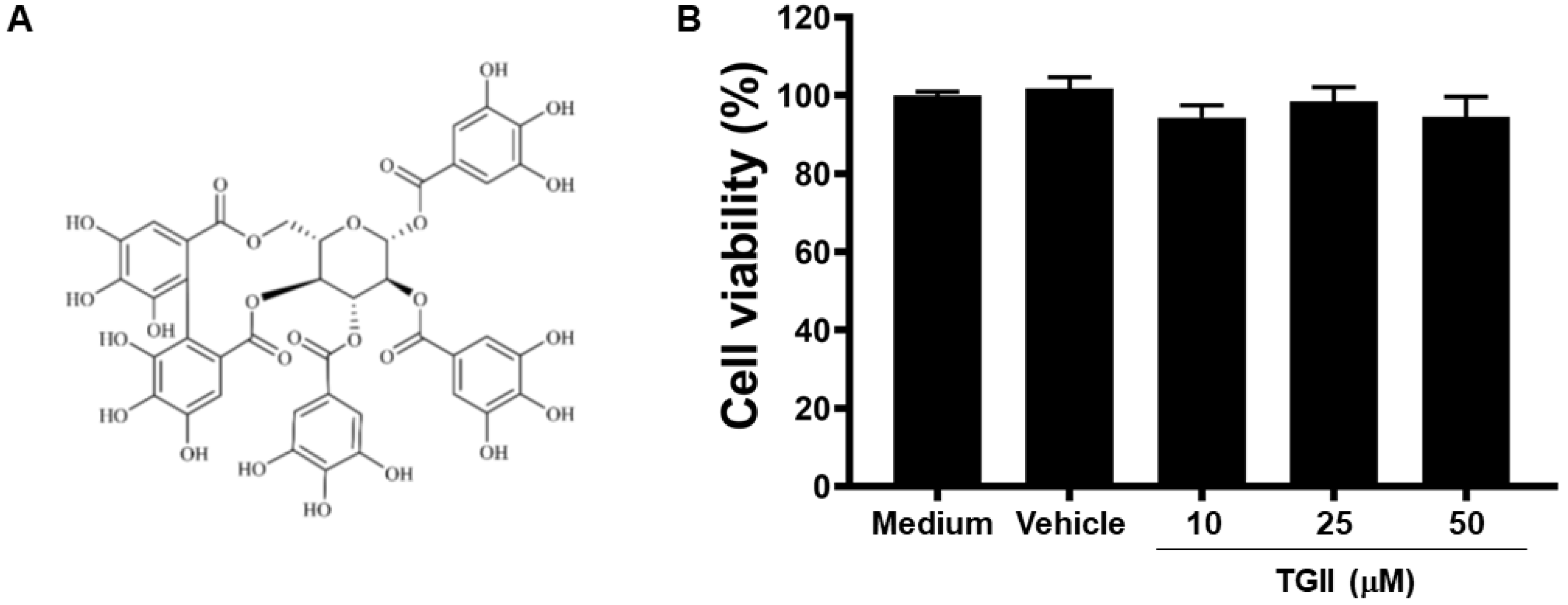 Life 11 00411 g001 Life 11 00411 g001