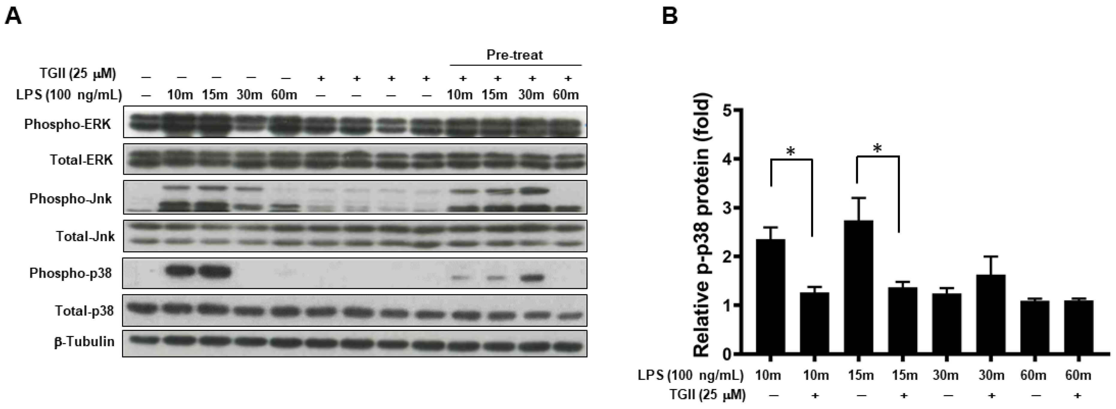 Life 11 00411 g003 Life 11 00411 g003