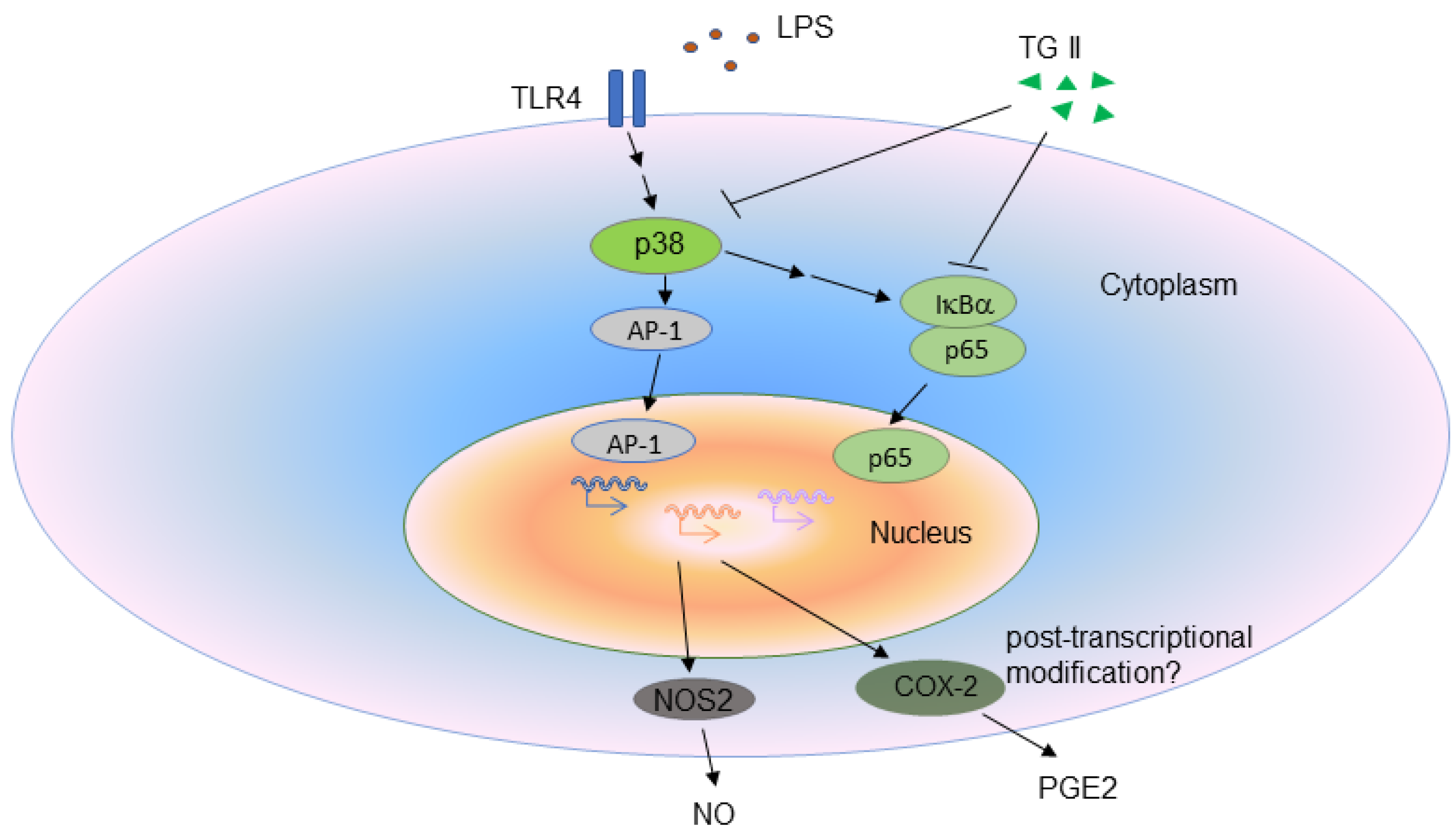 Life 11 00411 g007 Life 11 00411 g007