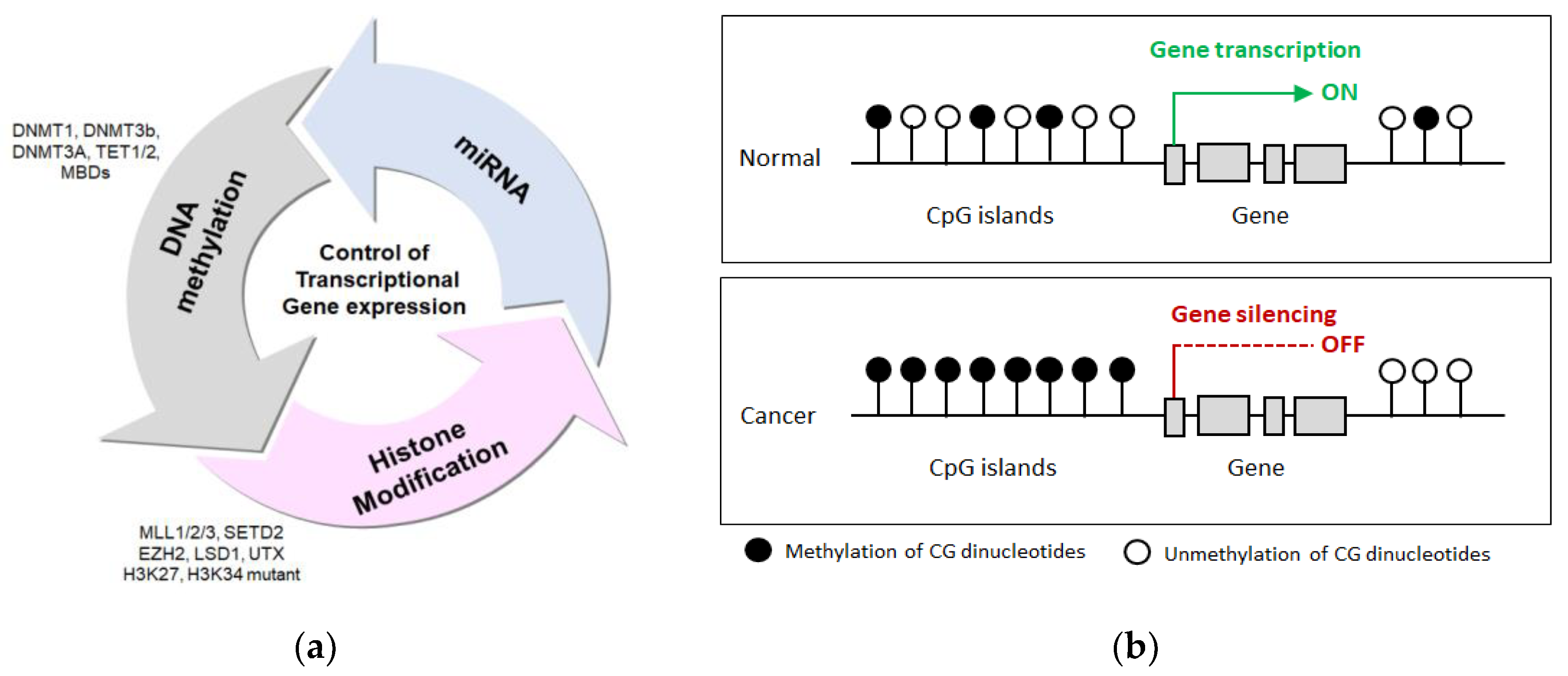Life 11 00412 g002 Life 11 00412 g002