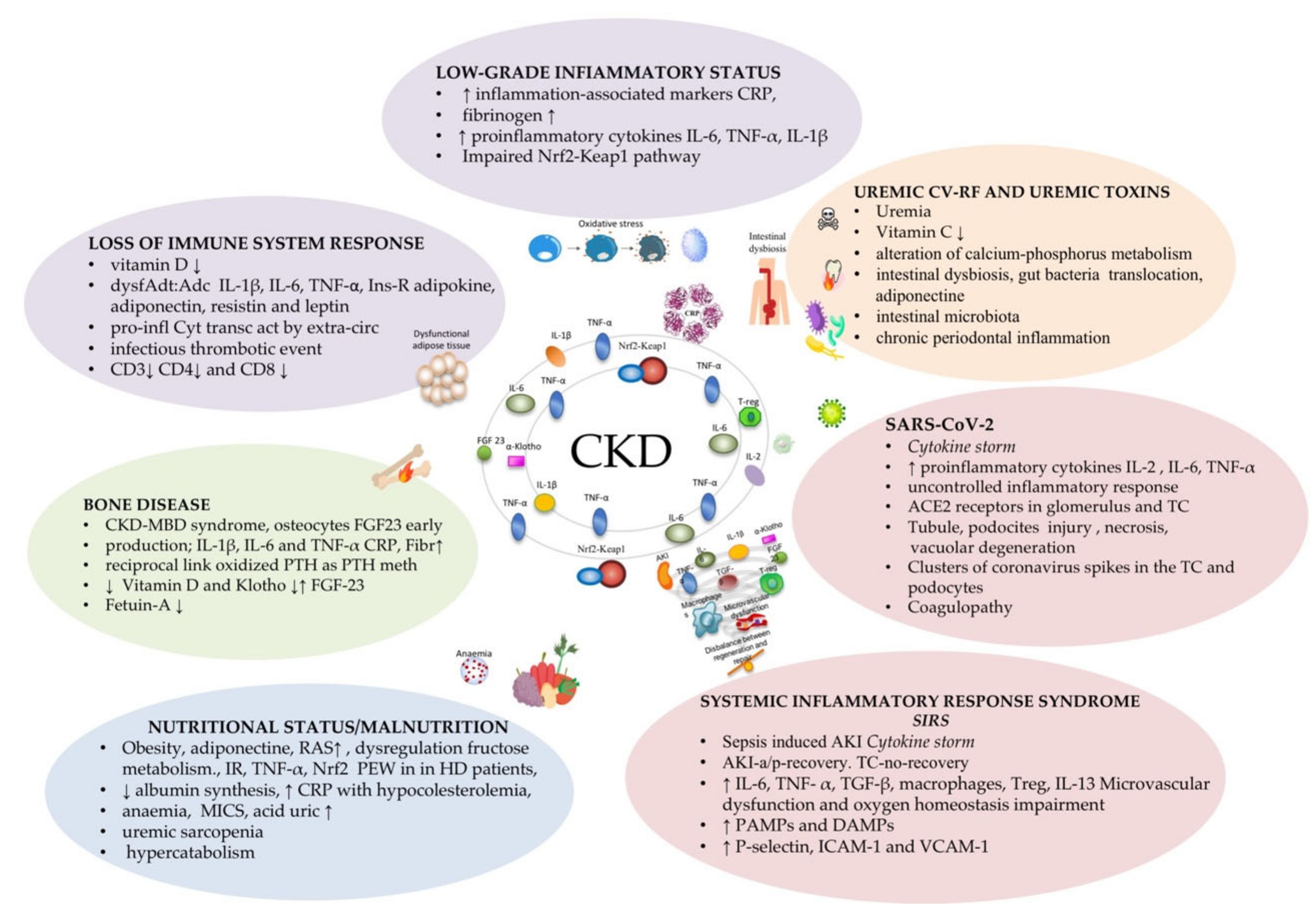 Life 11 00419 g001 Life 11 00419 g001