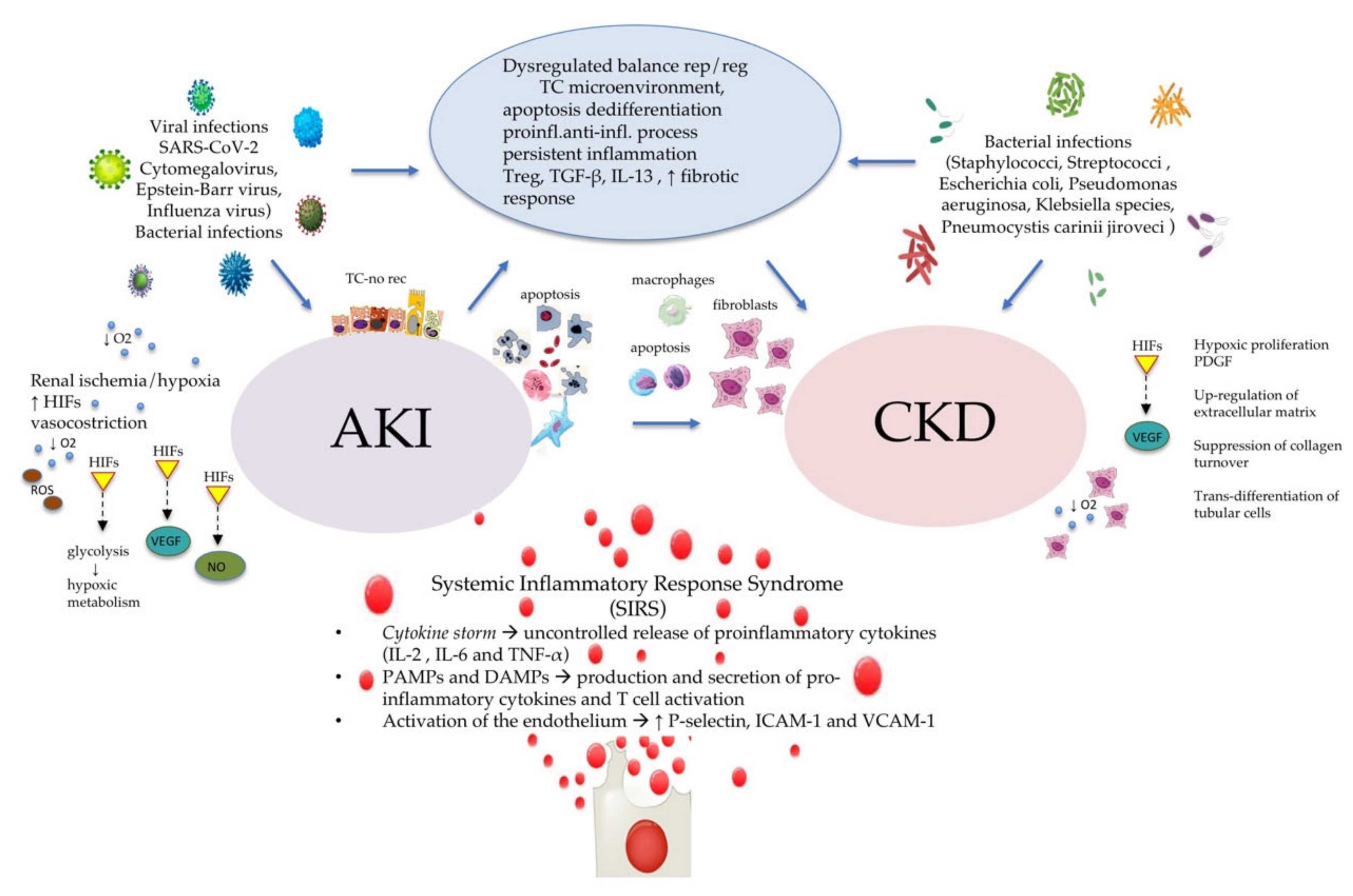 Life 11 00419 g002 Life 11 00419 g002