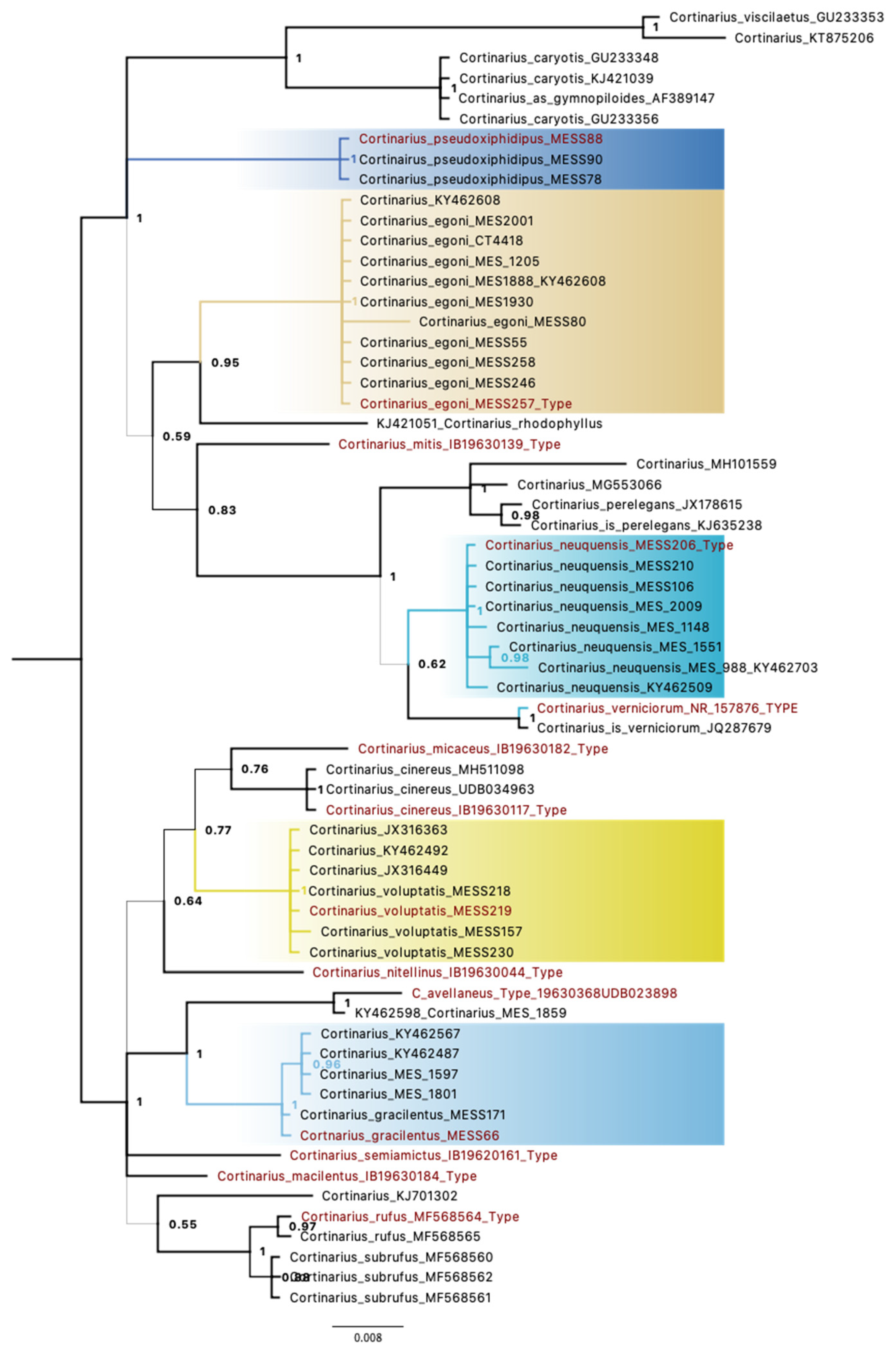 Life 11 00420 g001 Life 11 00420 g001