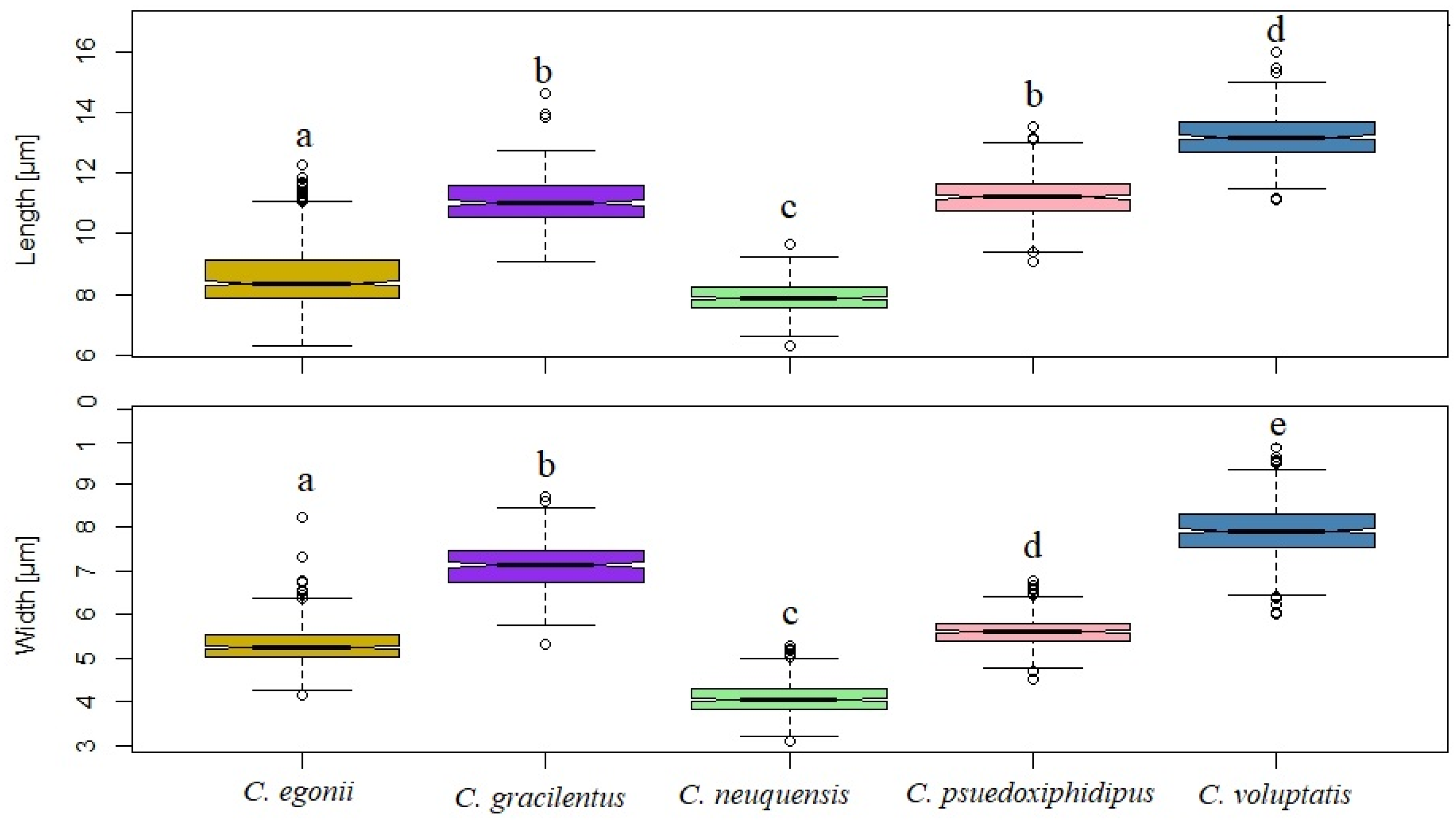 Life 11 00420 g003 Life 11 00420 g003