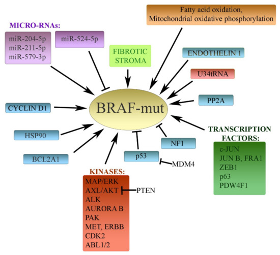Life Free FullText Many Distinct Ways Lead to Drug Resistance in