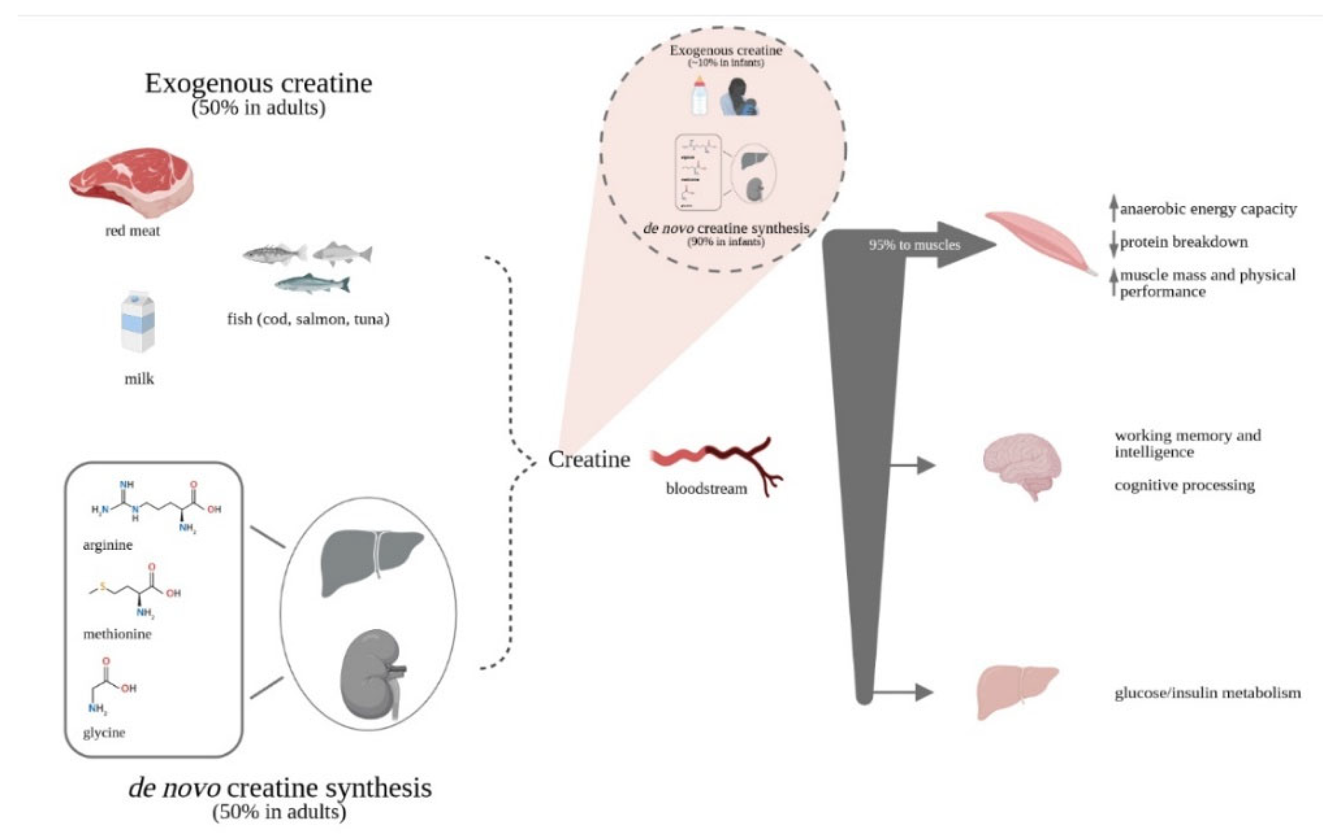 Life 11 00425 g001 Life 11 00425 g001