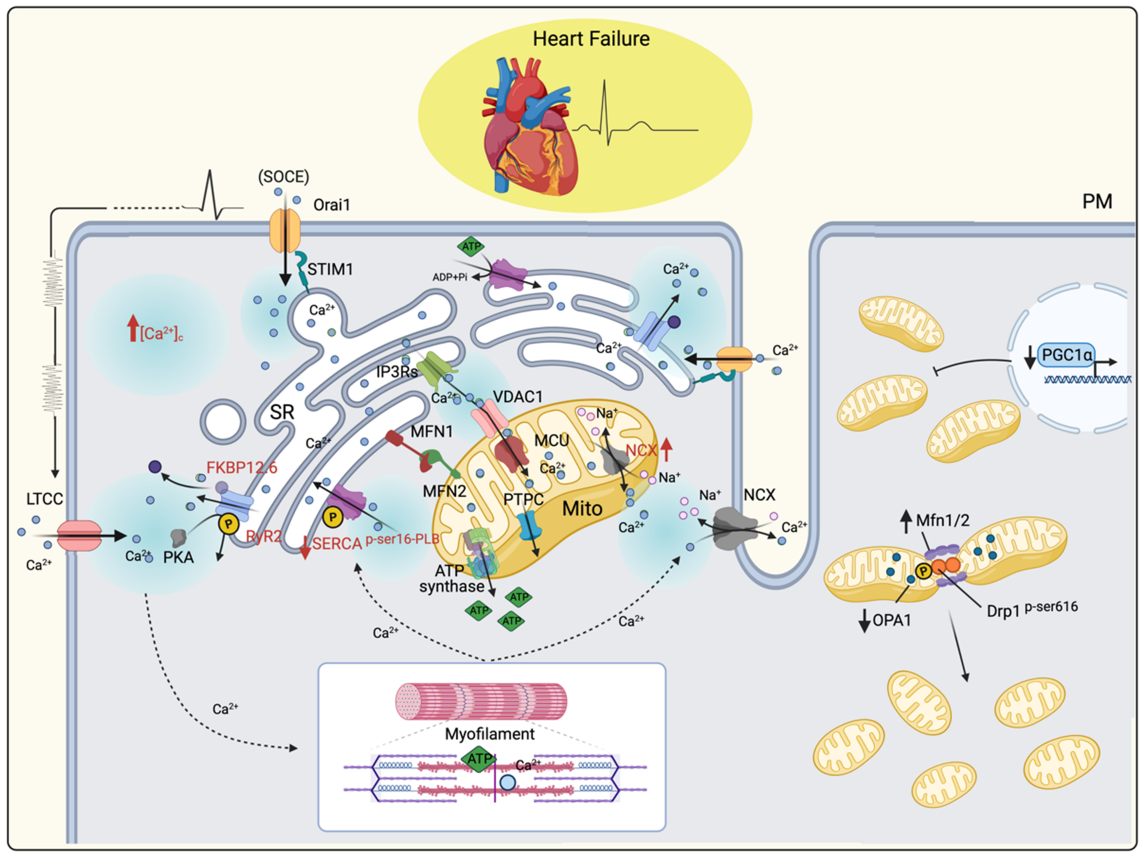 Life 11 00436 g002 Life 11 00436 g002