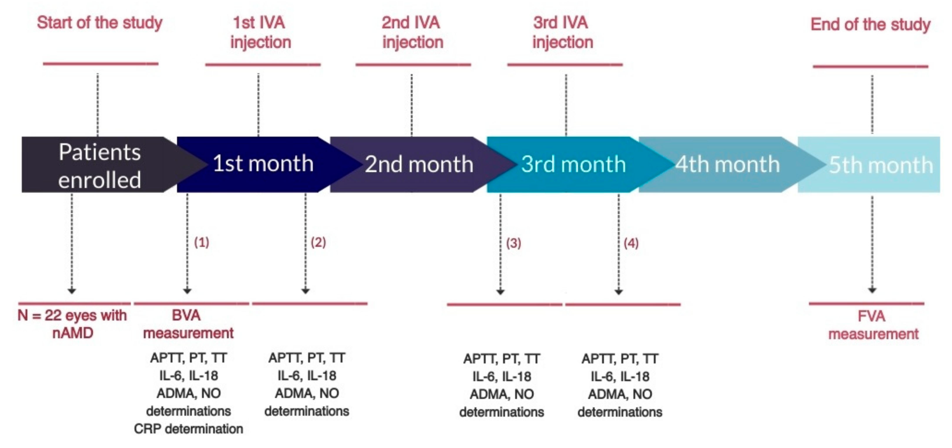 Life 11 00441 g001 Life 11 00441 g001
