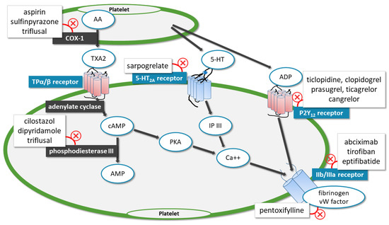 Cardio-Coagulation: 循環器における抗凝固療法 (Vol.6 No.1(2019.3)) Stroke as a Potential Complication of COVID-19-Associated