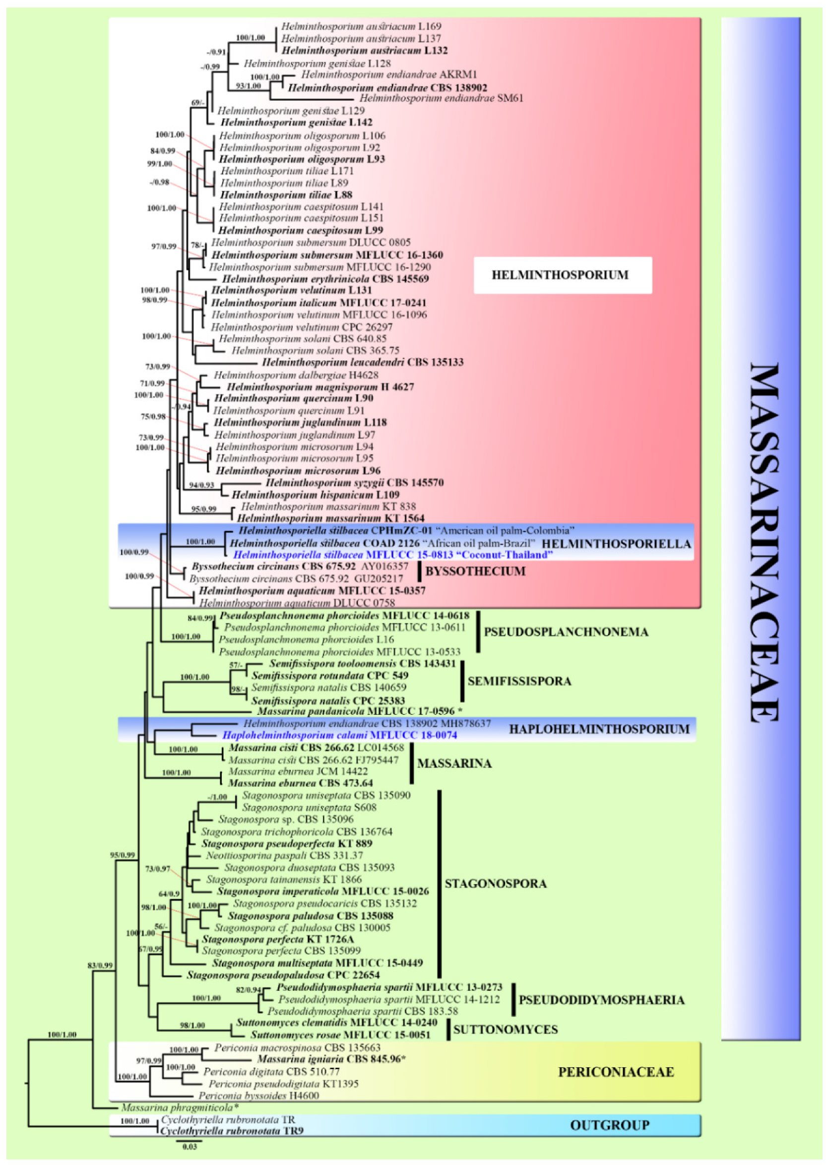 Life 11 00454 g002 Life 11 00454 g002