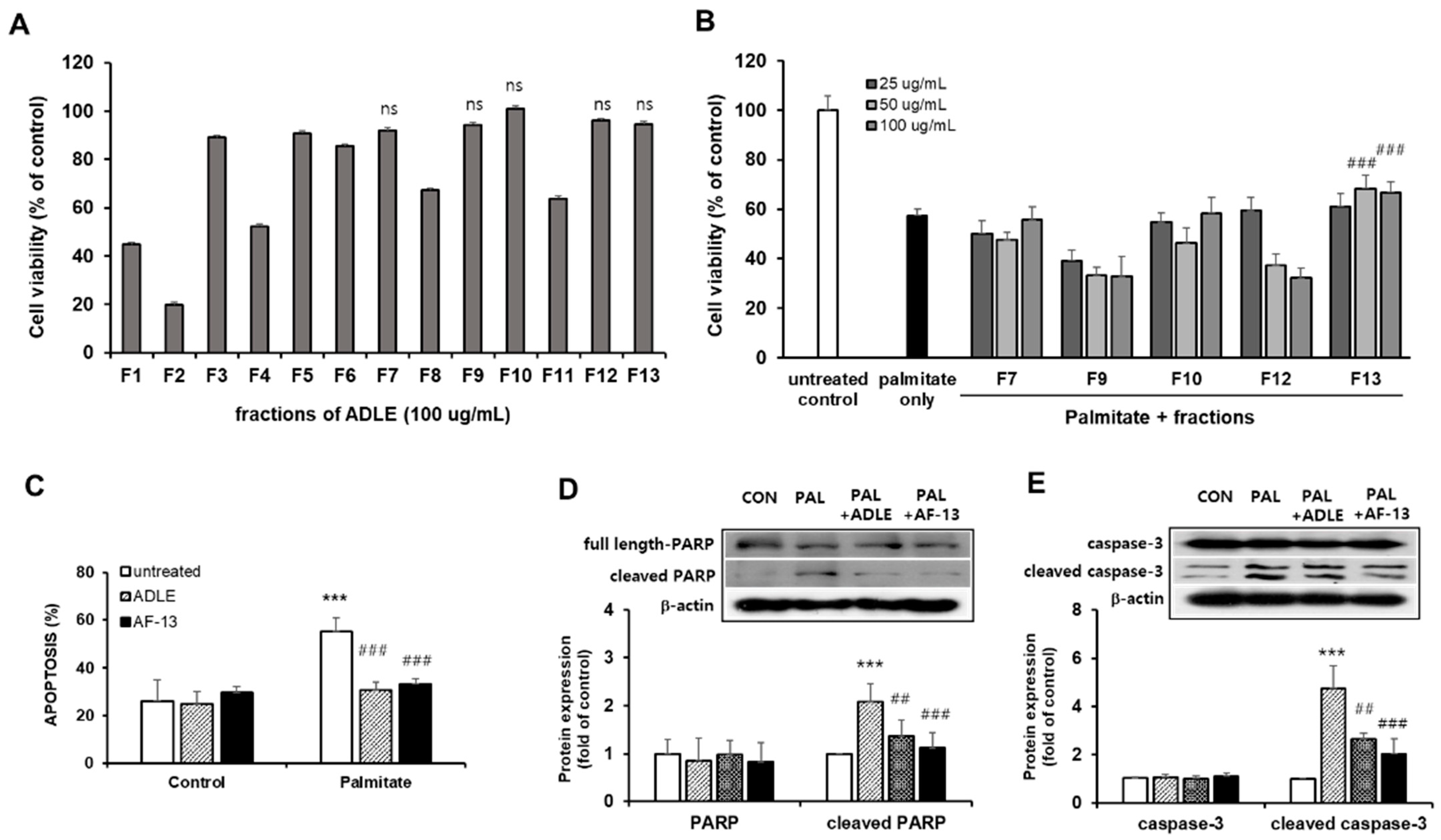 Life 11 00470 g002 Life 11 00470 g002