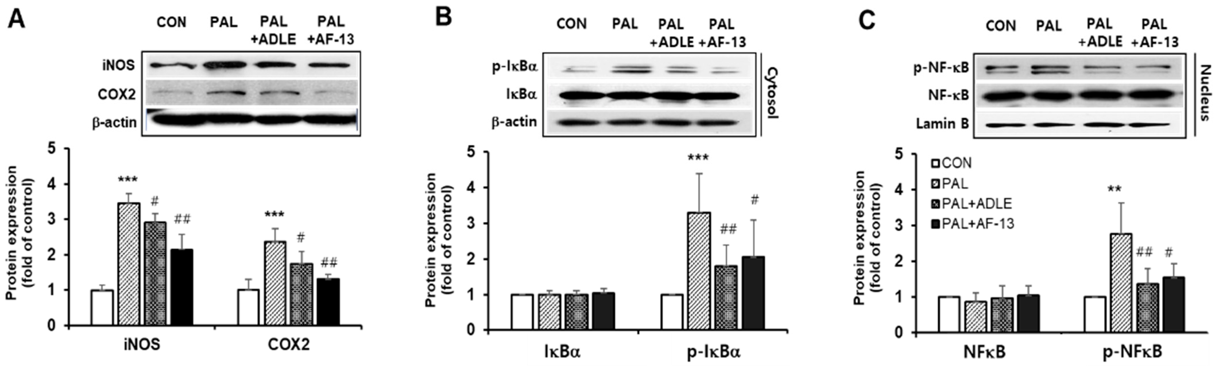 Life 11 00470 g004 Life 11 00470 g004
