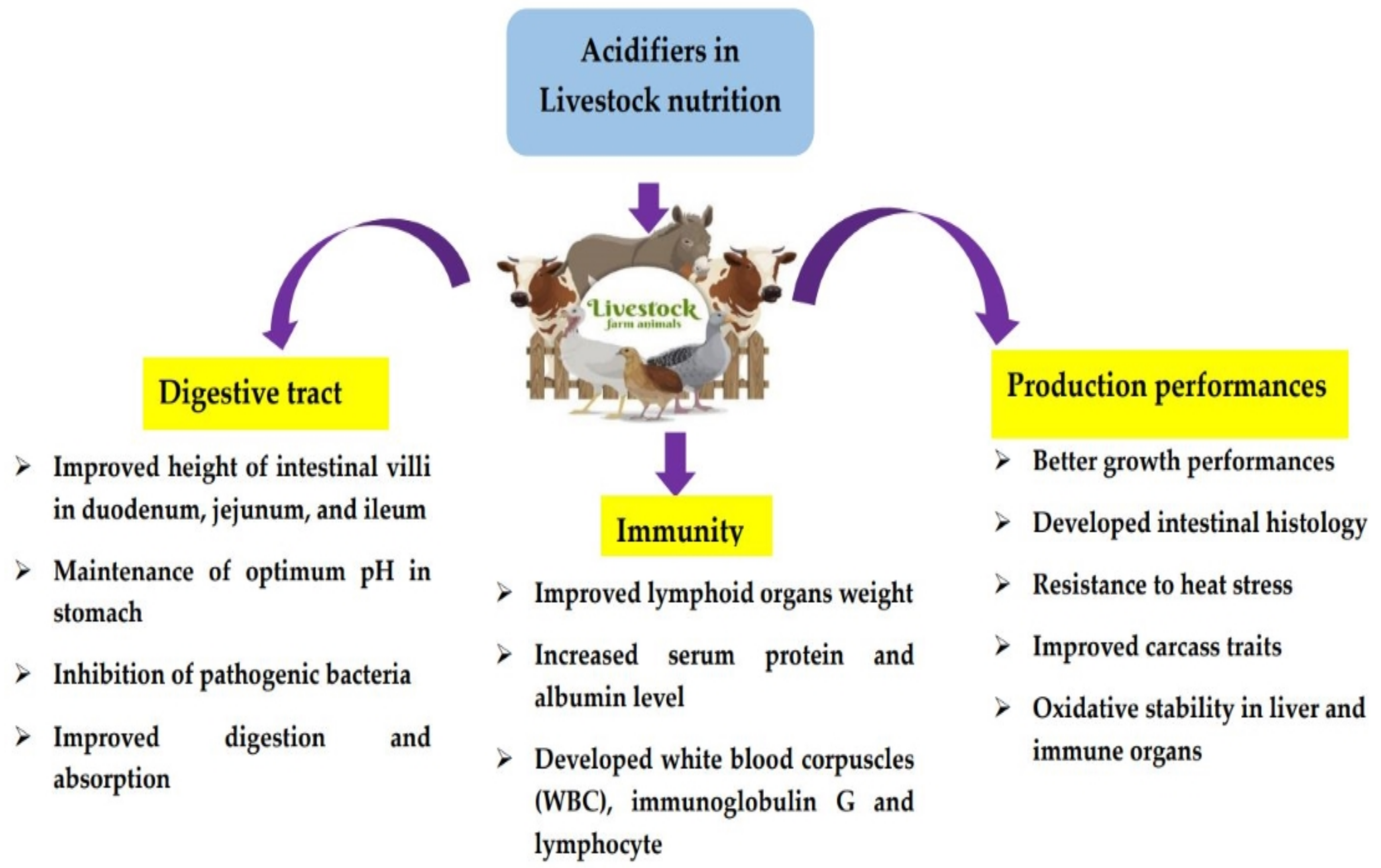Life | Free Full-Text | Time for a Paradigm Shift in Animal Nutrition  Metabolic Pathway: Dietary Inclusion of Organic Acids on the Production  Parameters, Nutrient Digestibility, and Meat Quality Traits of Swine