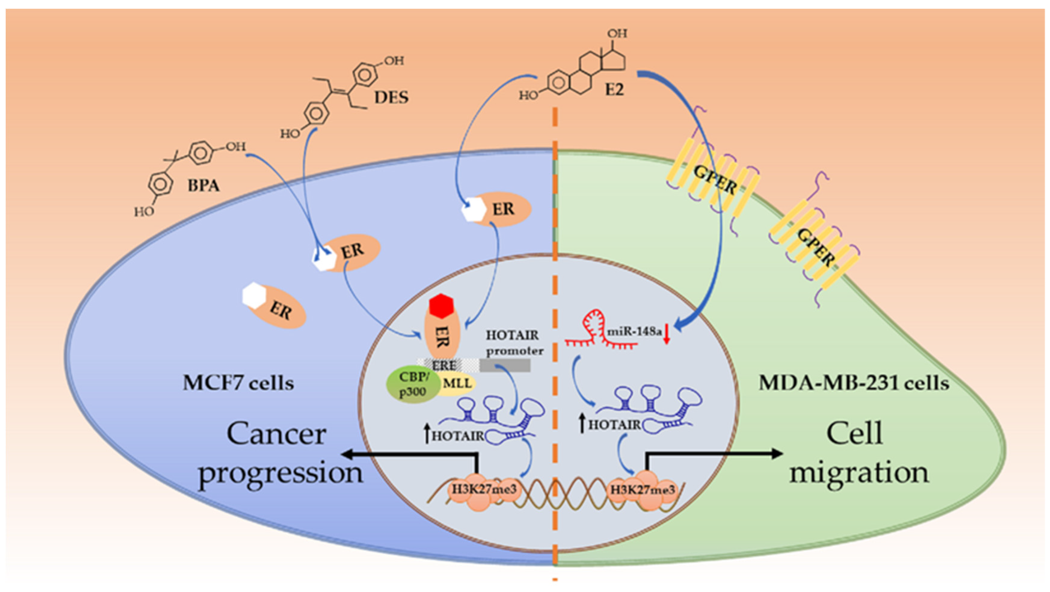 Life 11 00483 g002 Life 11 00483 g002