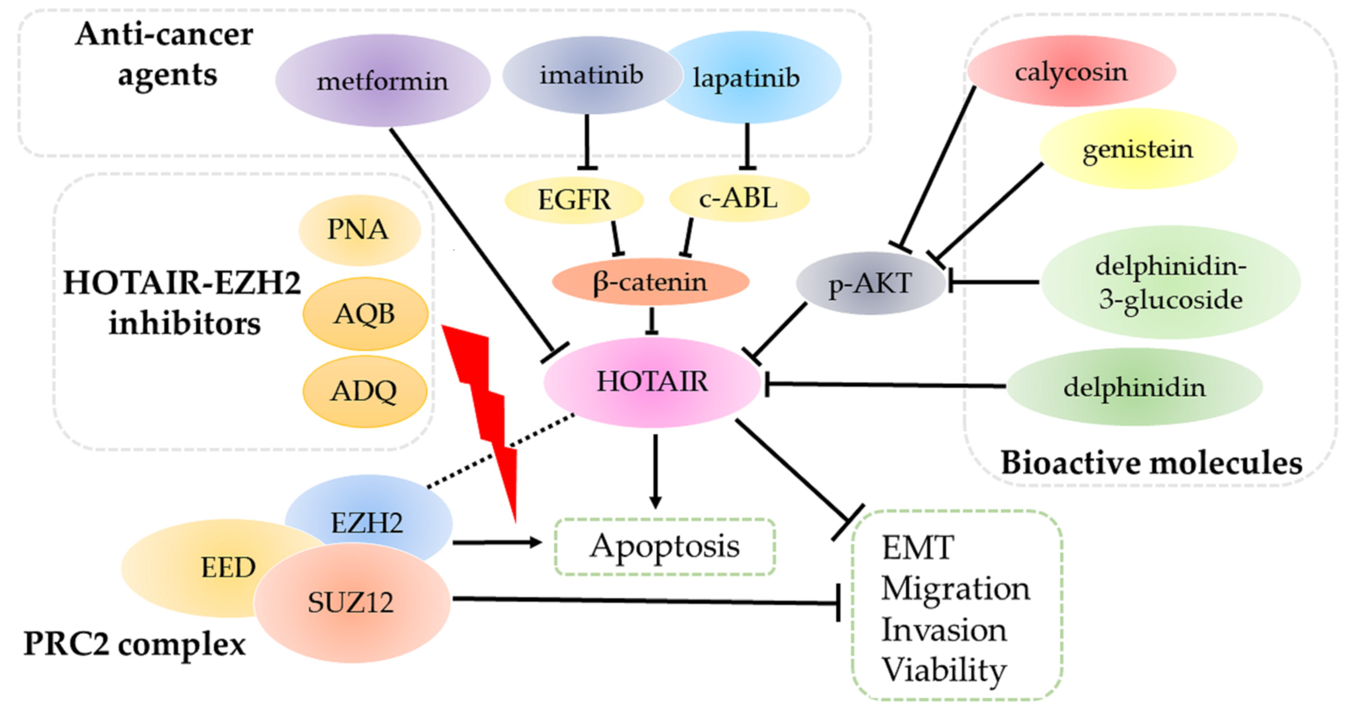Life 11 00483 g003 Life 11 00483 g003