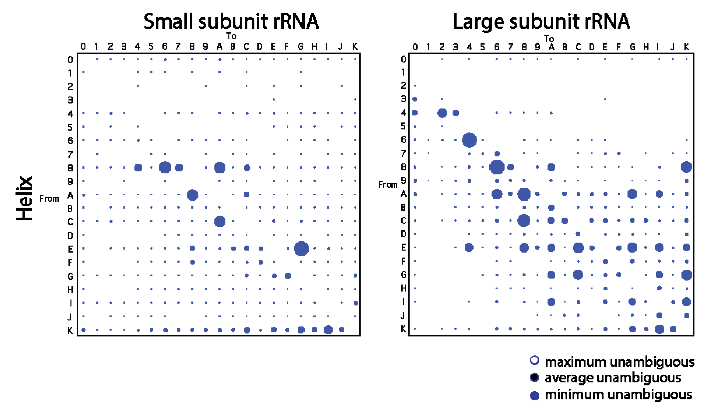 Life 11 00489 g002 Life 11 00489 g002